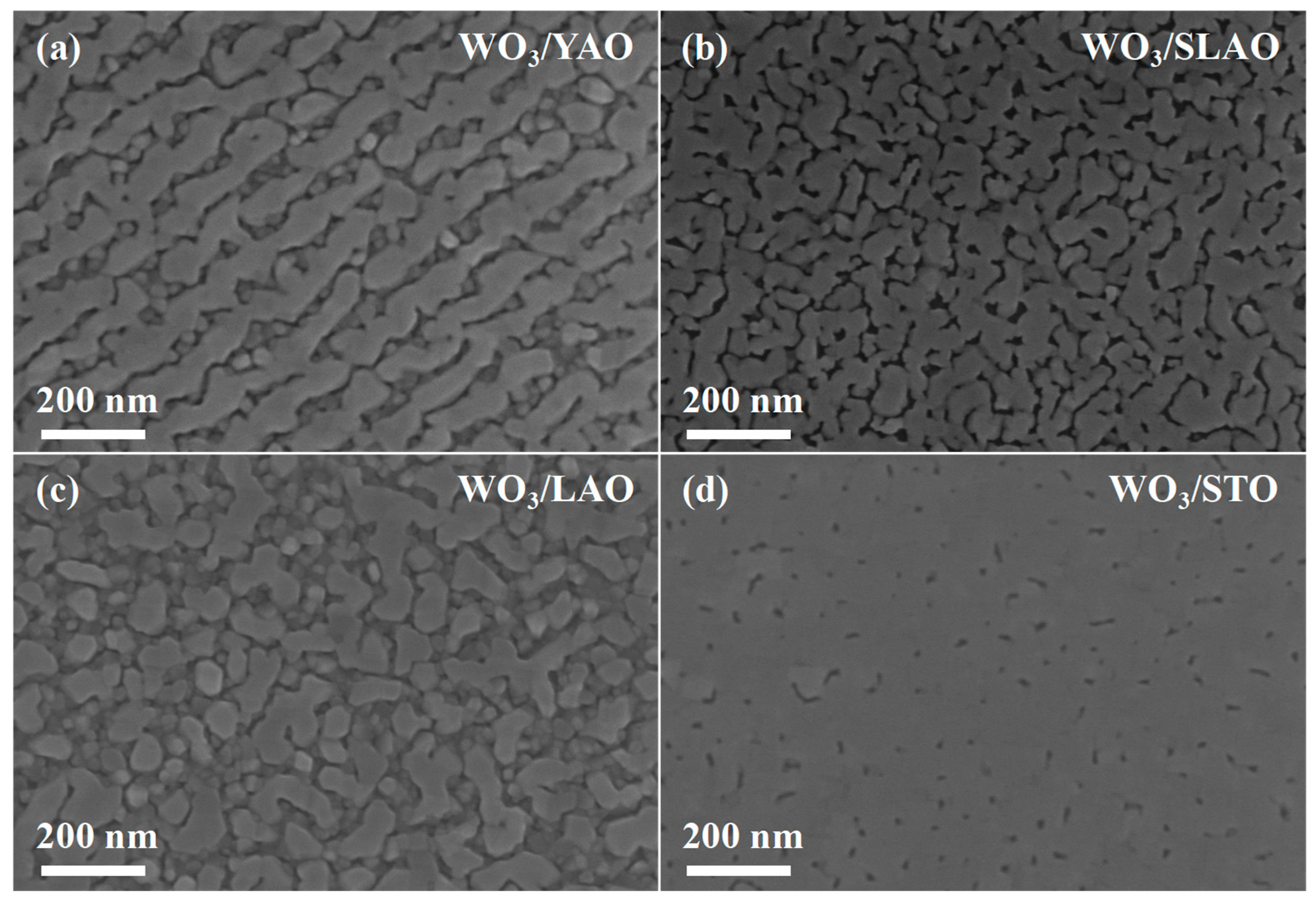 Nanomaterials 15 01785 g004