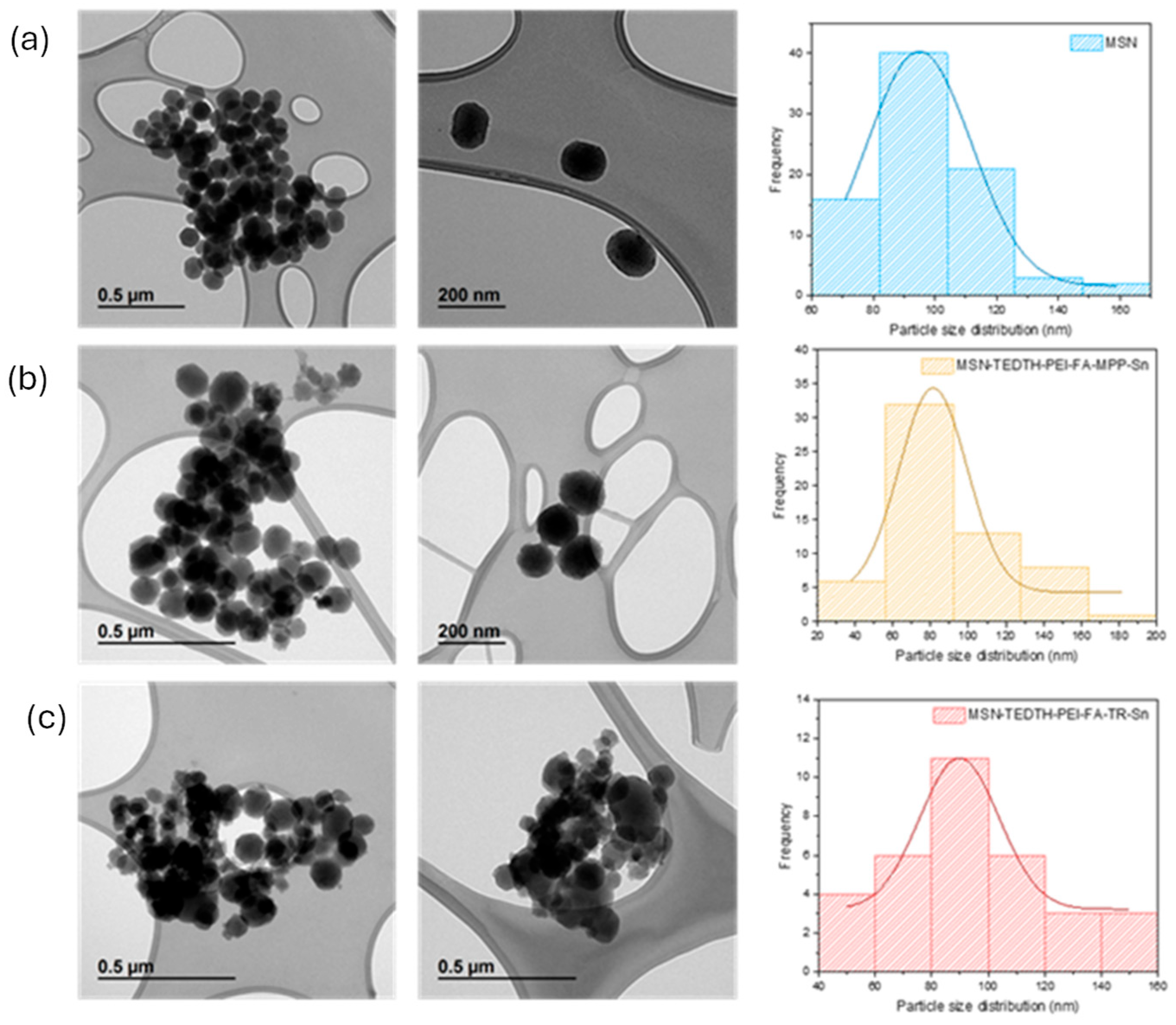 Nanomaterials 15 01791 g006
