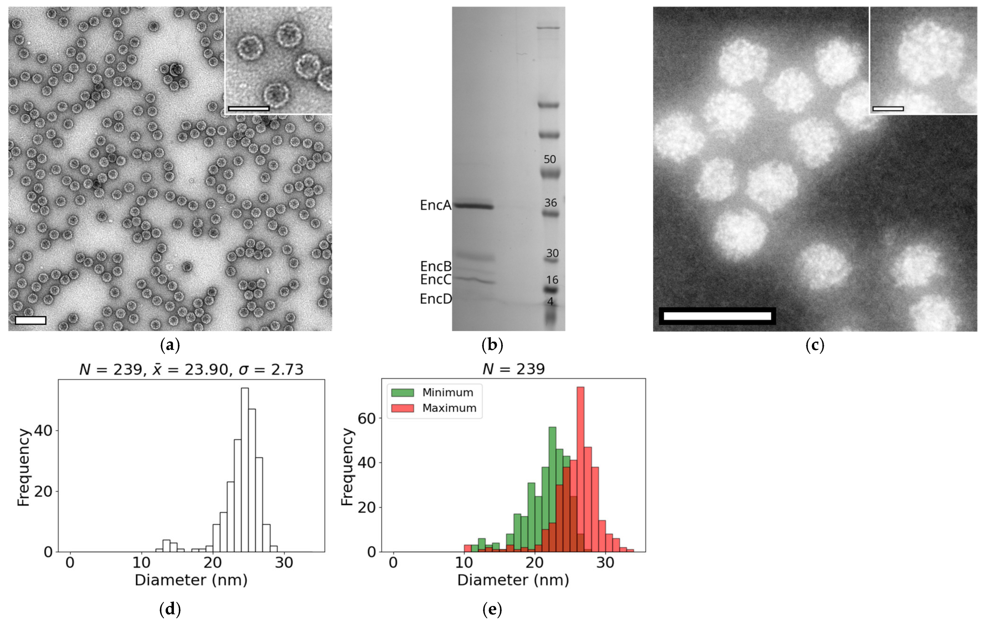 Nanomaterials 15 01793 g001