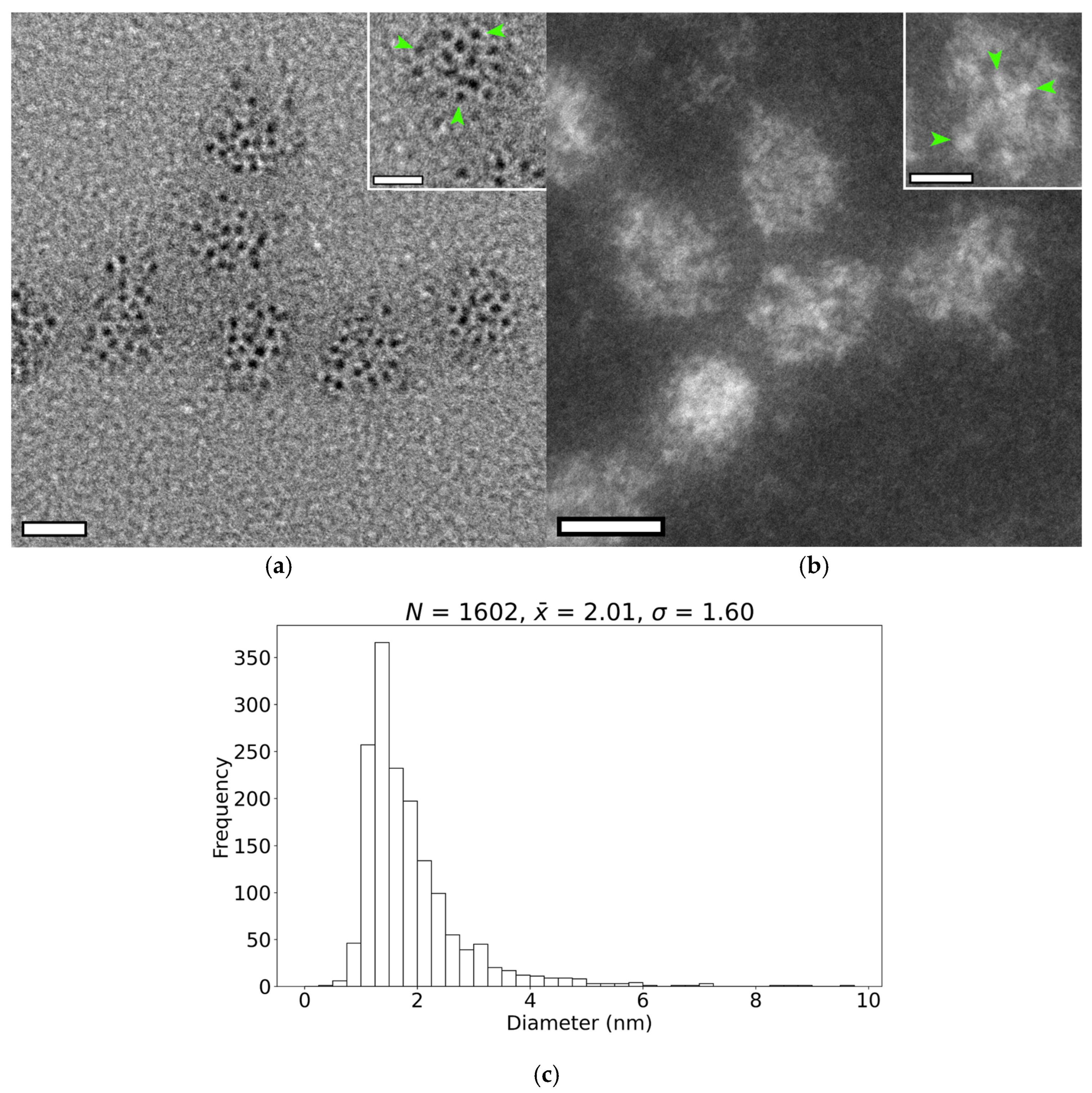 Nanomaterials 15 01793 g003