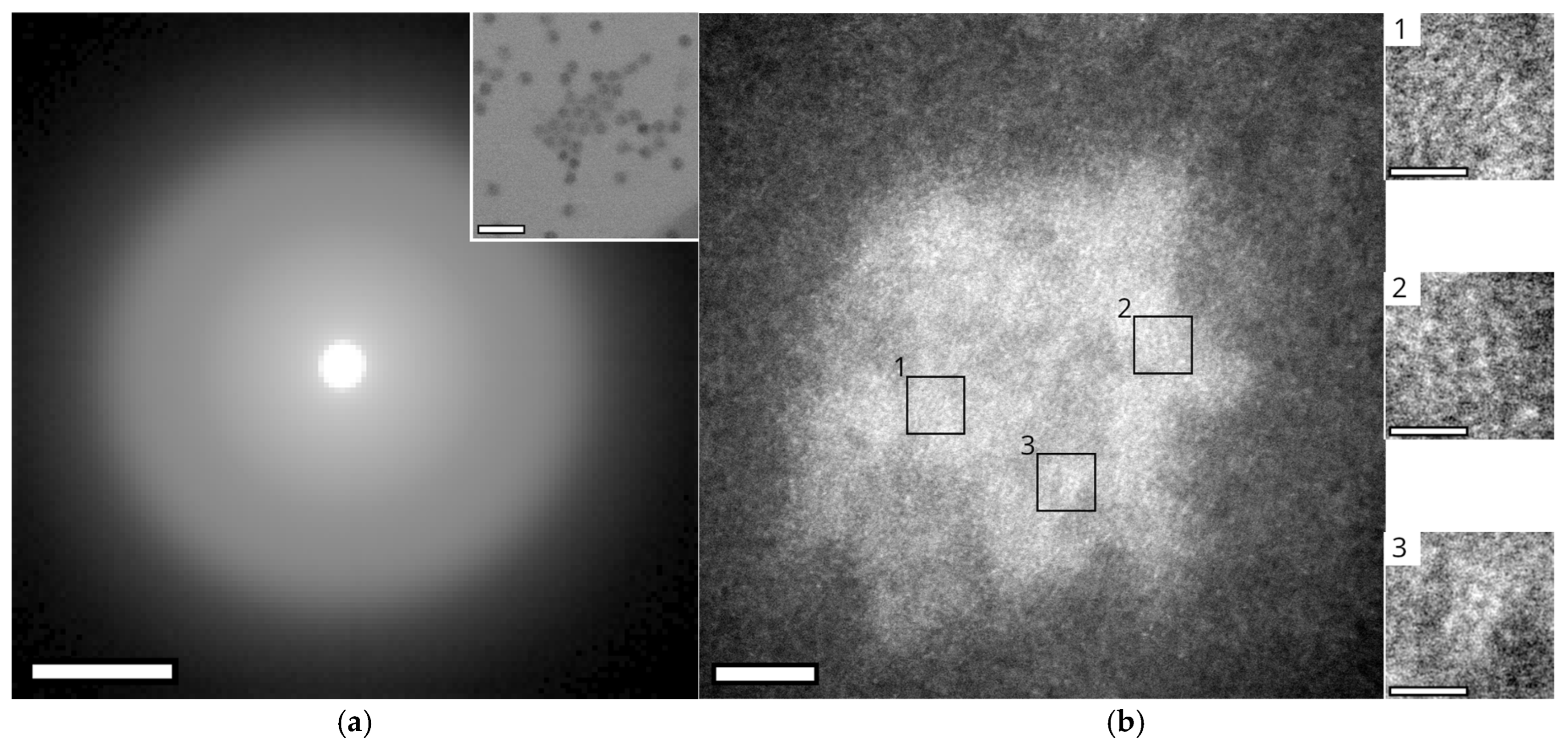 Nanomaterials 15 01793 g004