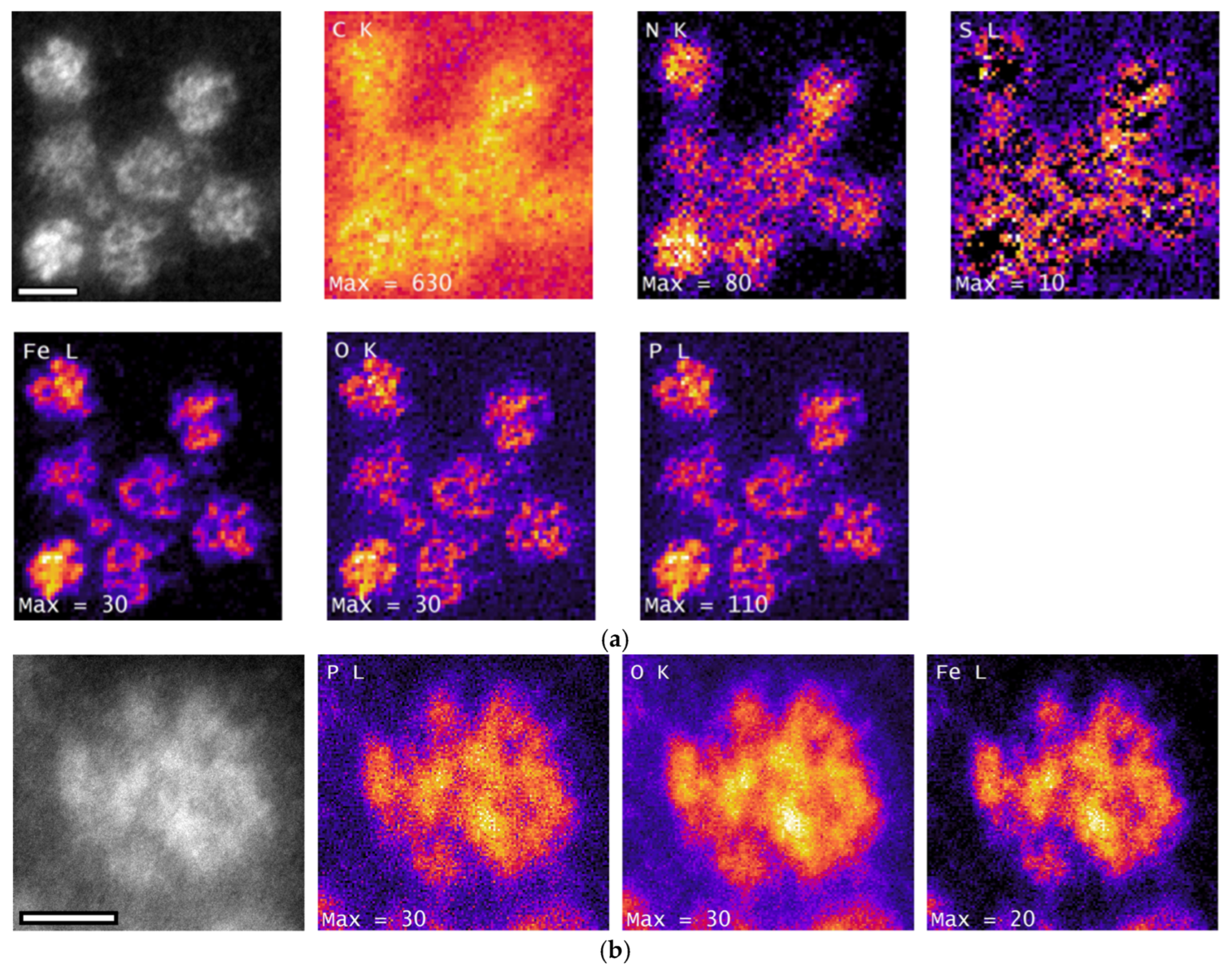 Nanomaterials 15 01793 g005a