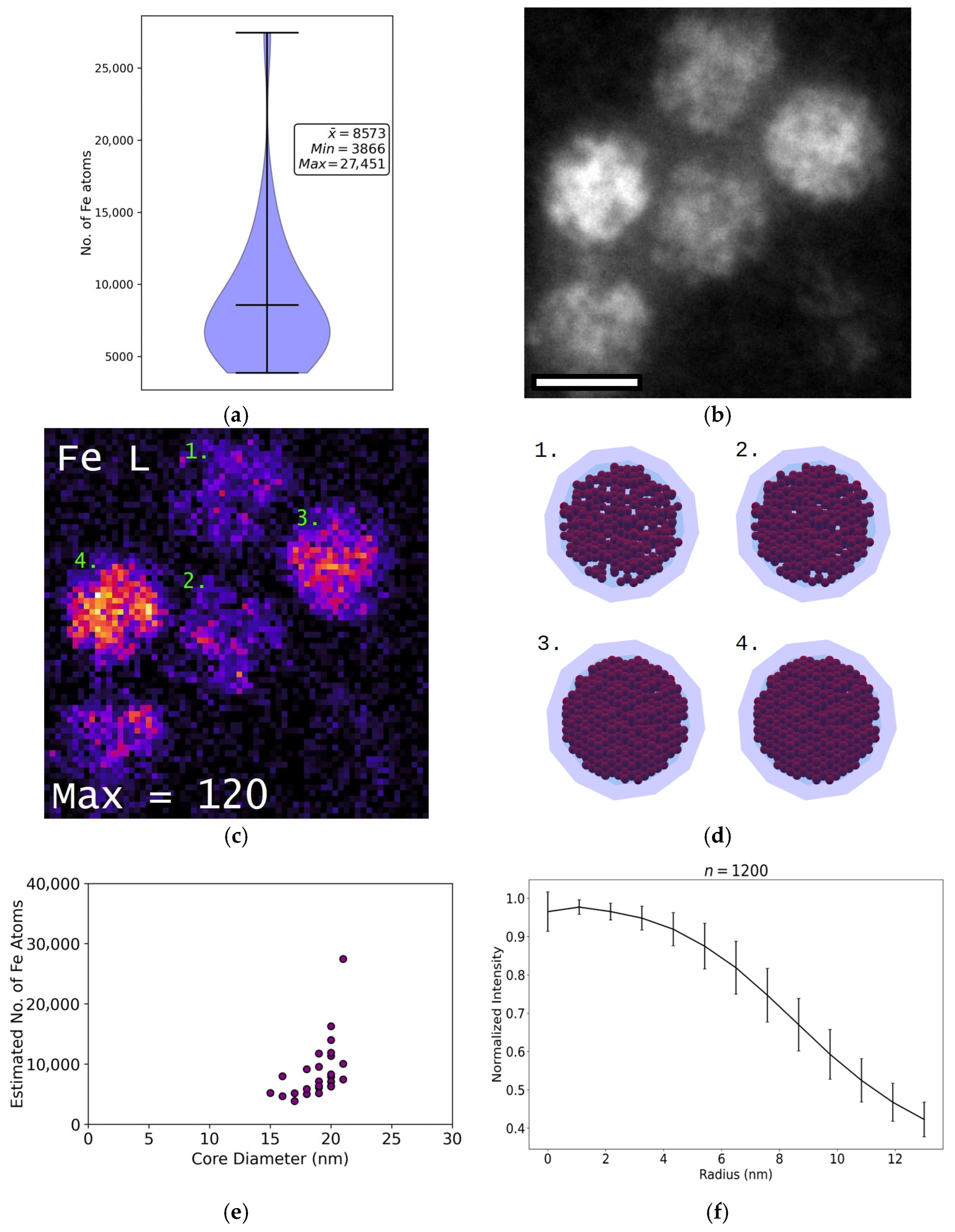 Nanomaterials 15 01793 g006