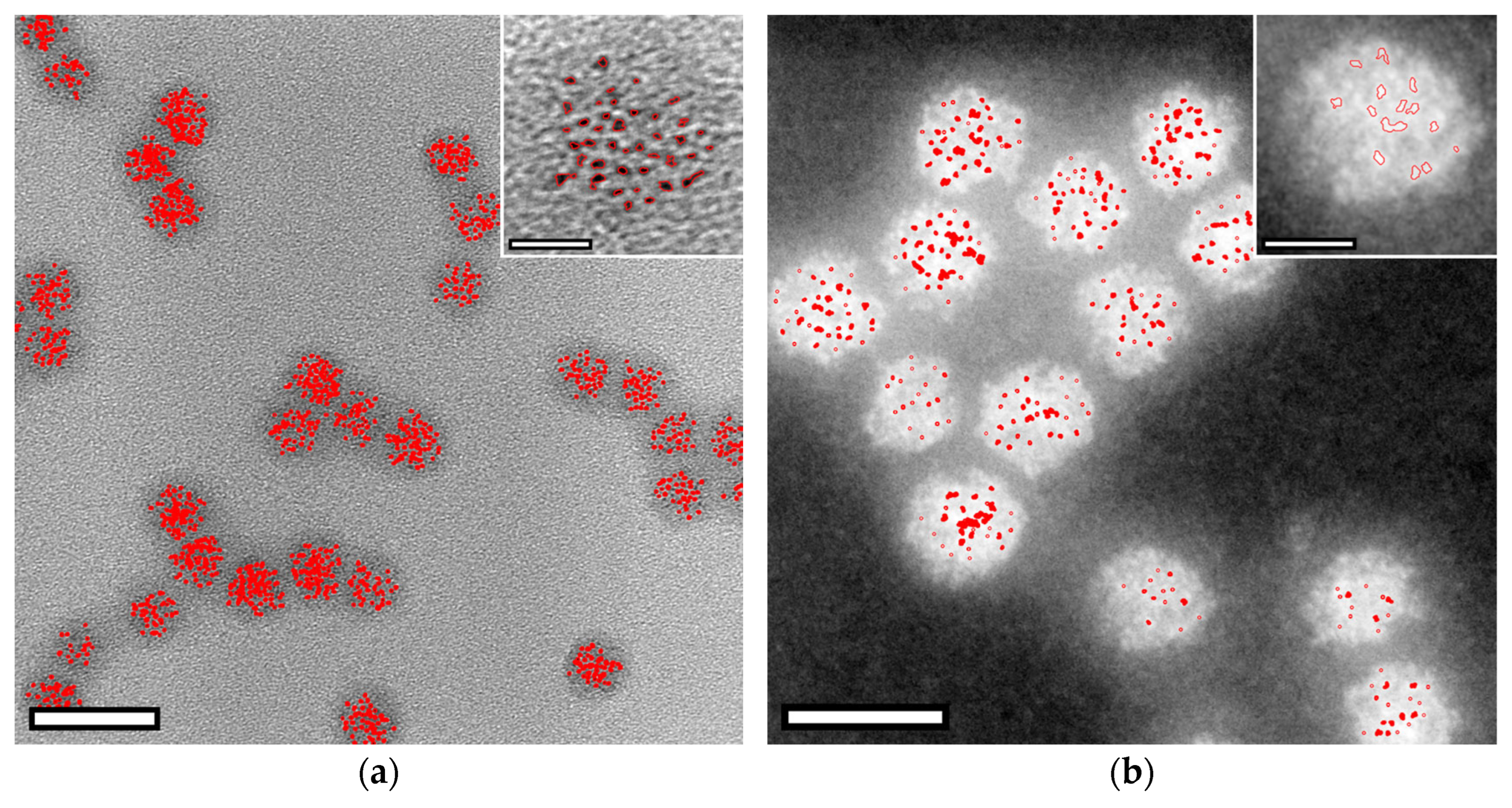 Nanomaterials 15 01793 g0a1