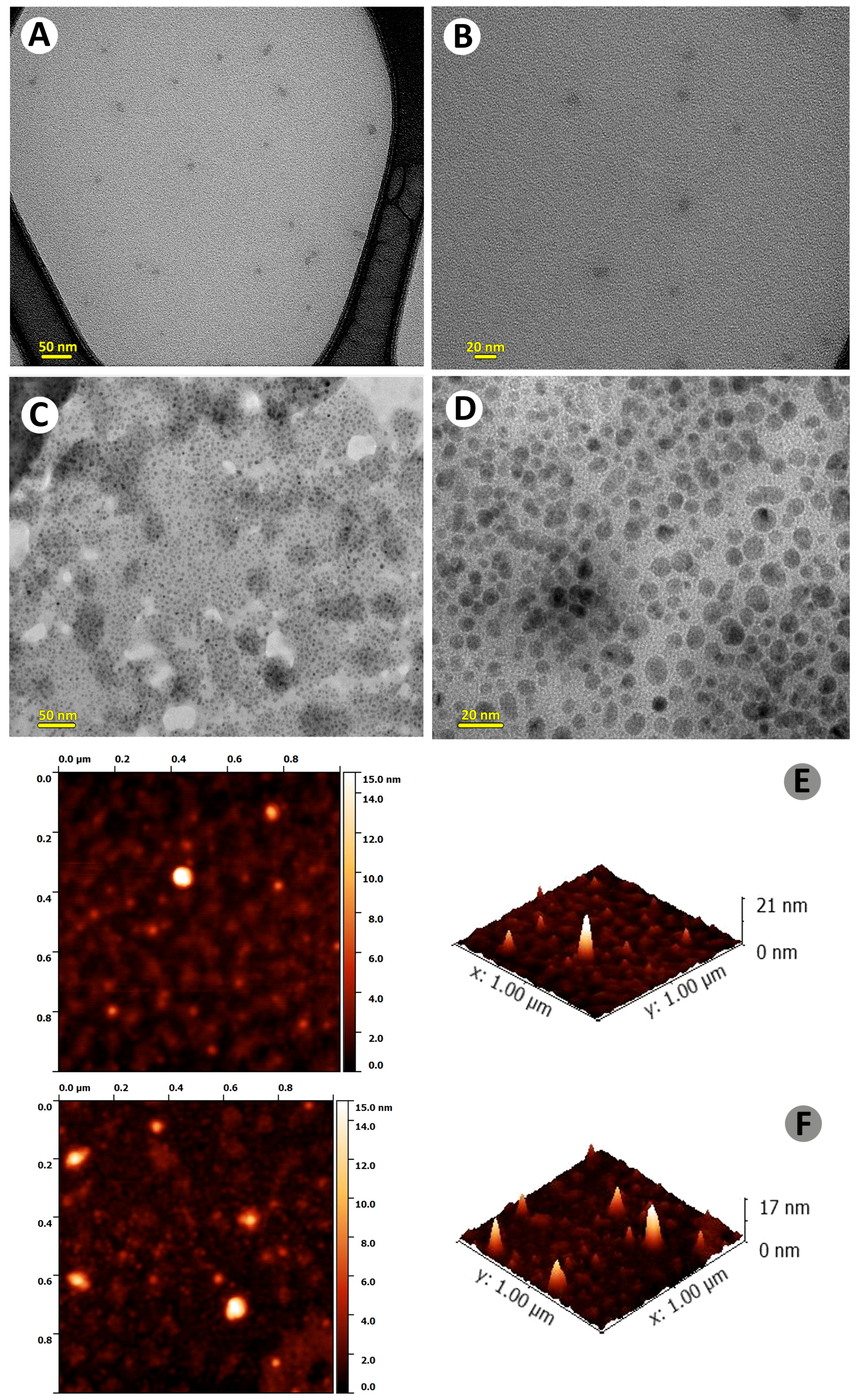 Nanomaterials 15 01804 g004