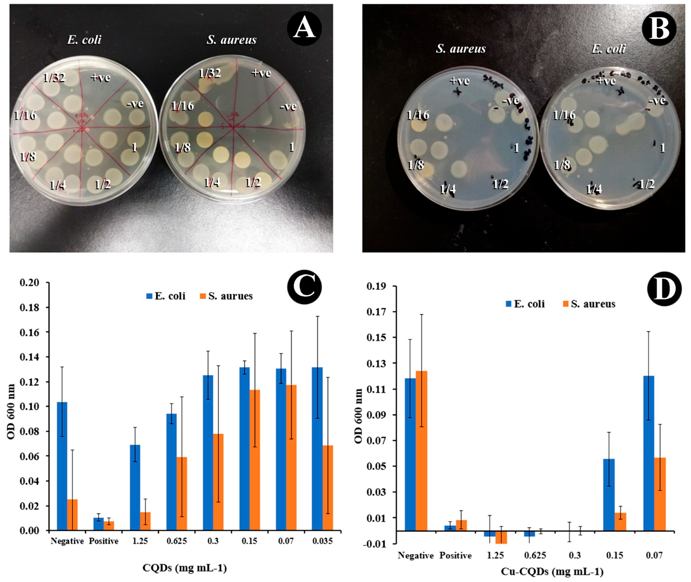 Nanomaterials 15 01804 g005