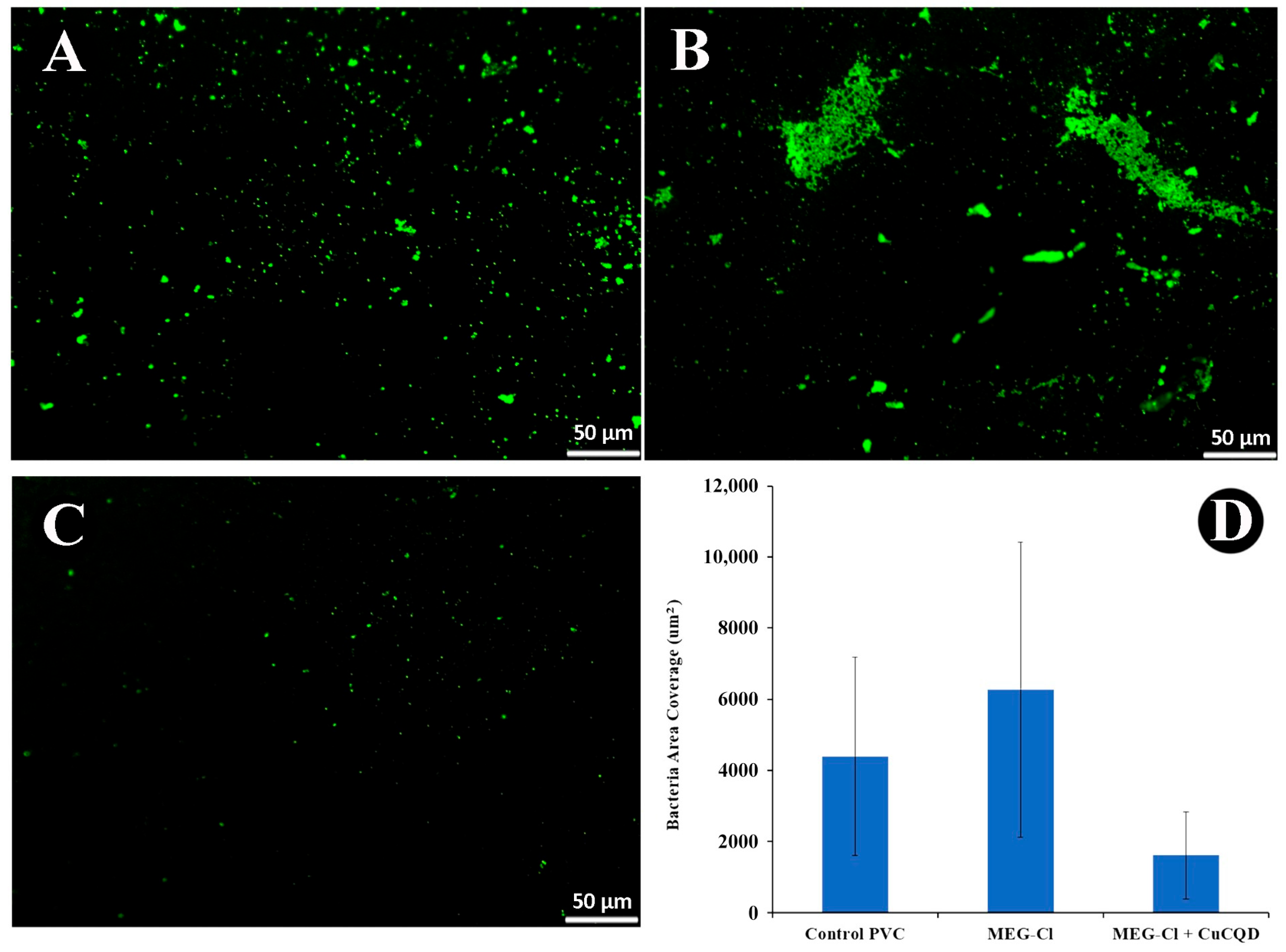 Nanomaterials 15 01804 g006