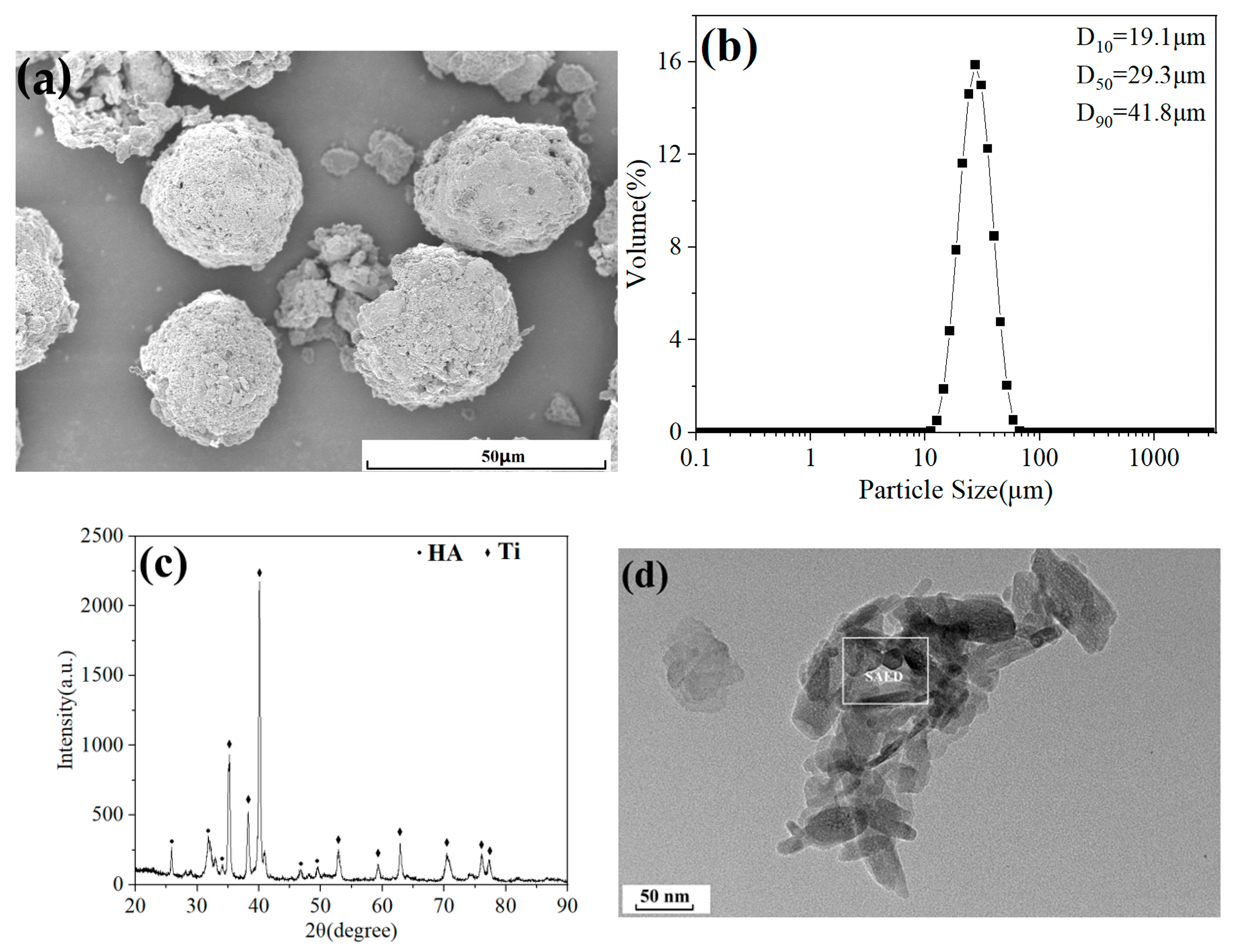 Nanomaterials 15 01807 g001a