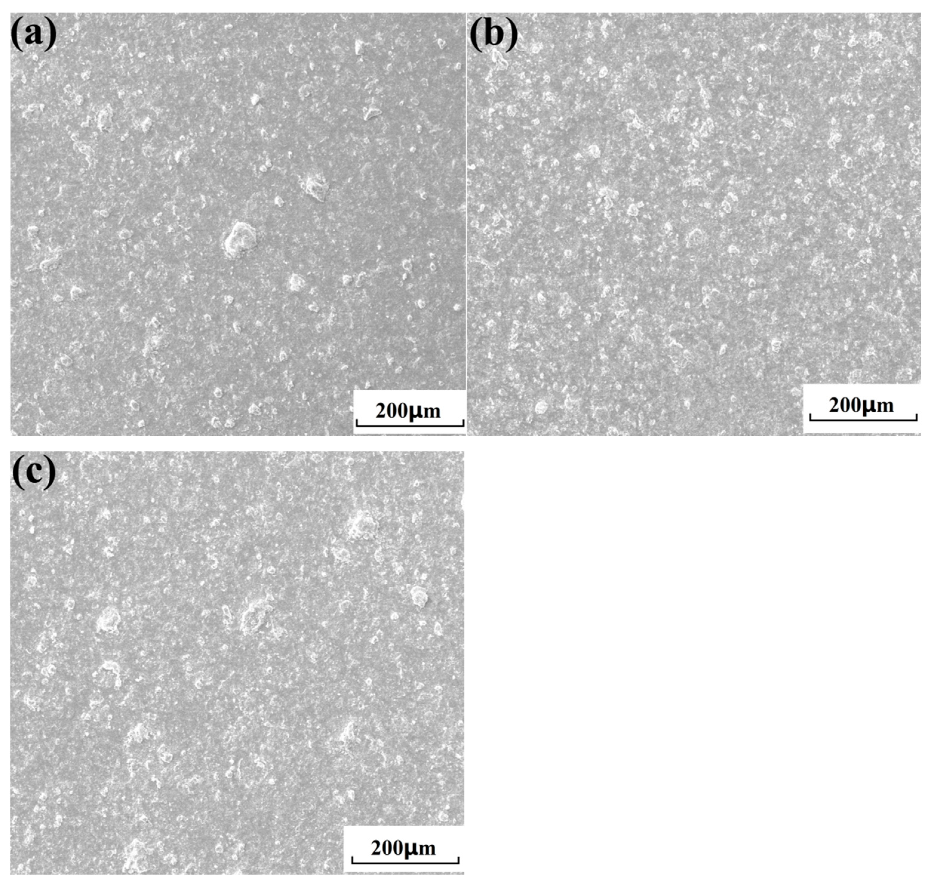 Nanomaterials 15 01807 g010