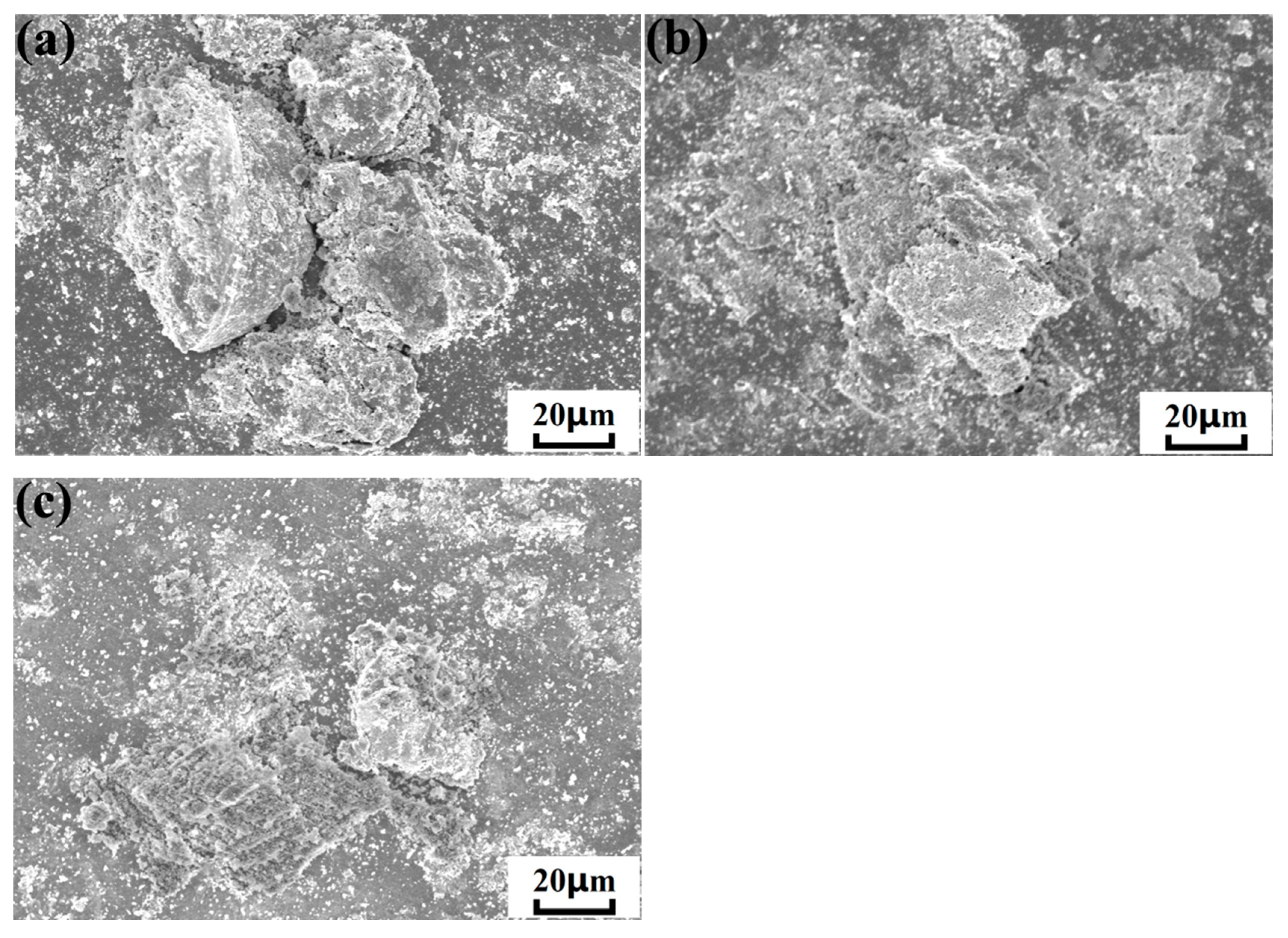 Nanomaterials 15 01807 g011