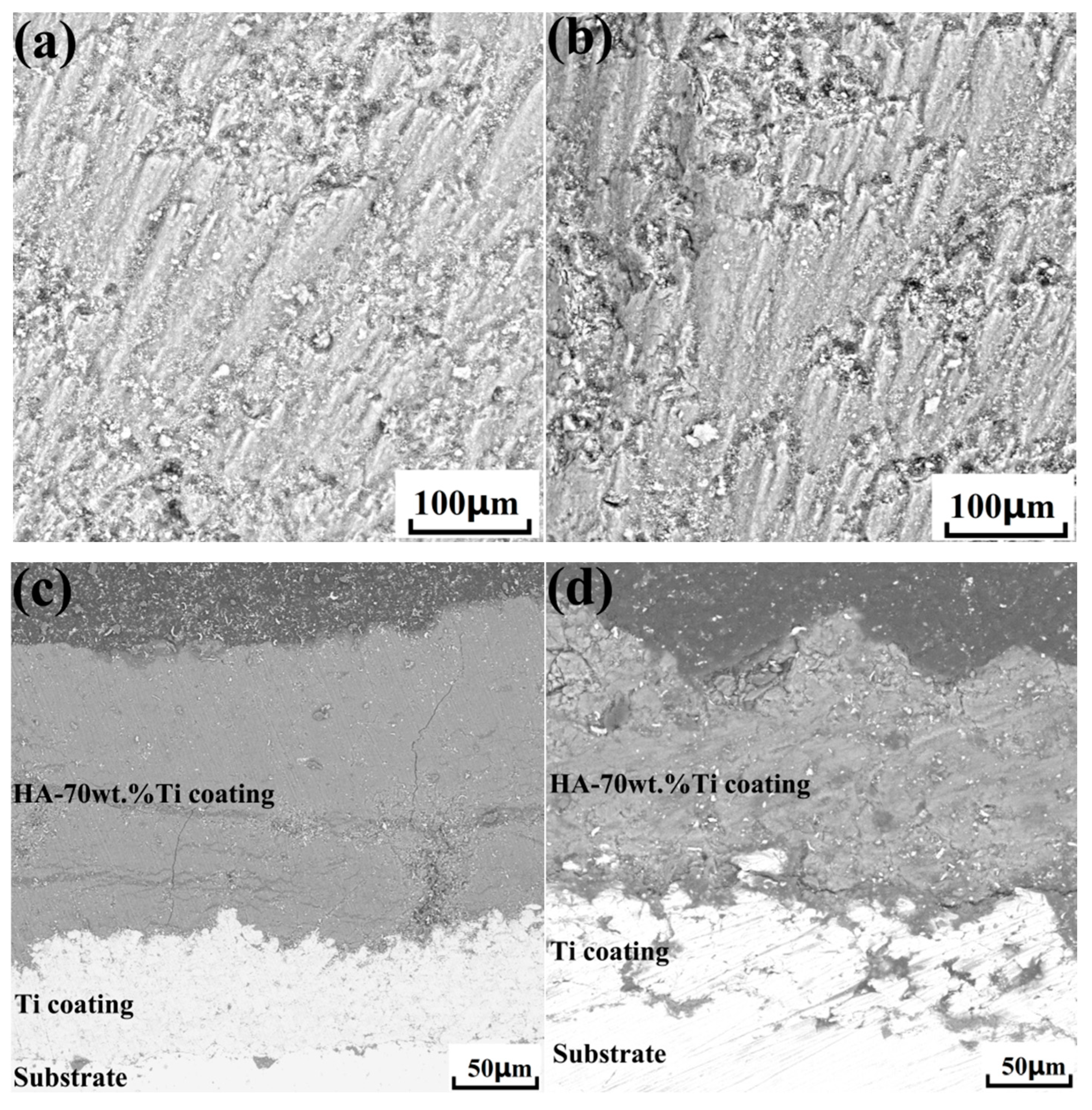 Nanomaterials 15 01807 g012