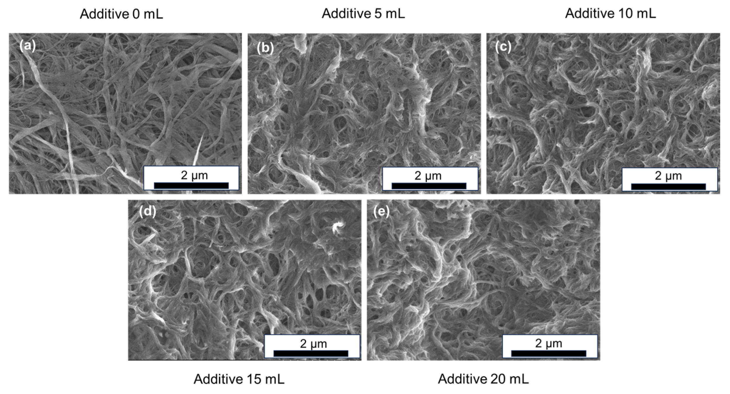 Nanomaterials 15 01817 g002