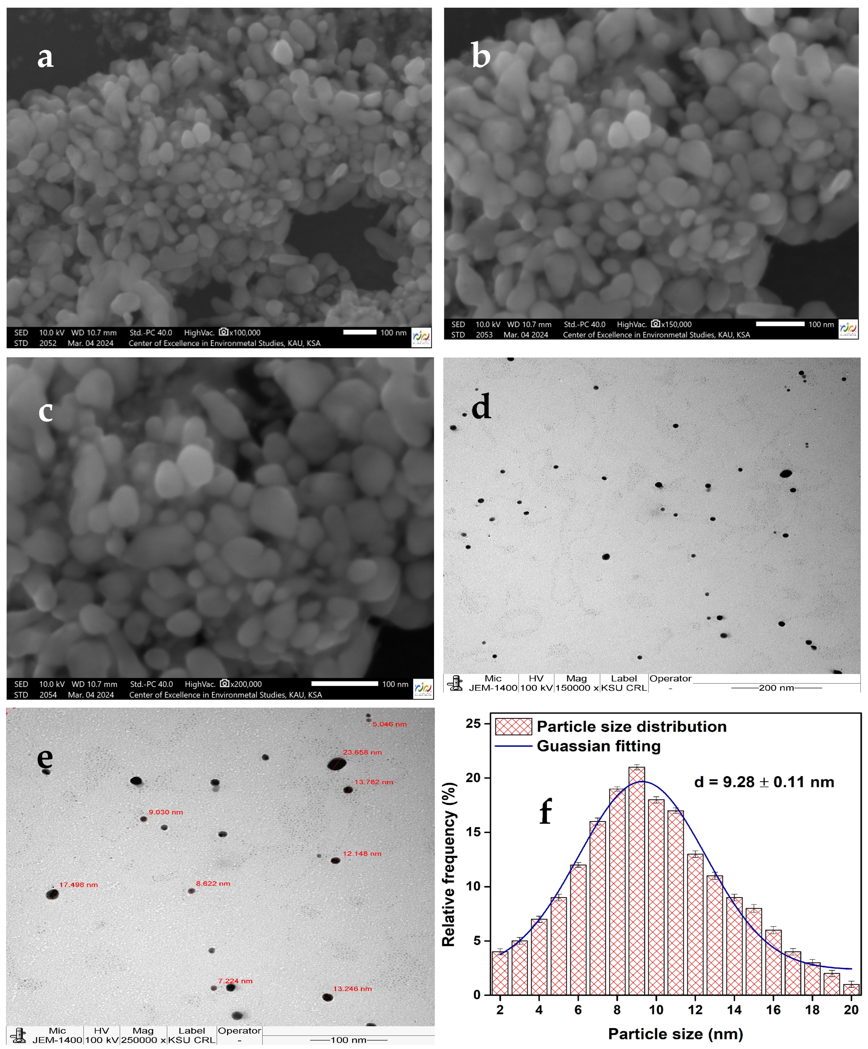 Nanomaterials 15 01821 g001