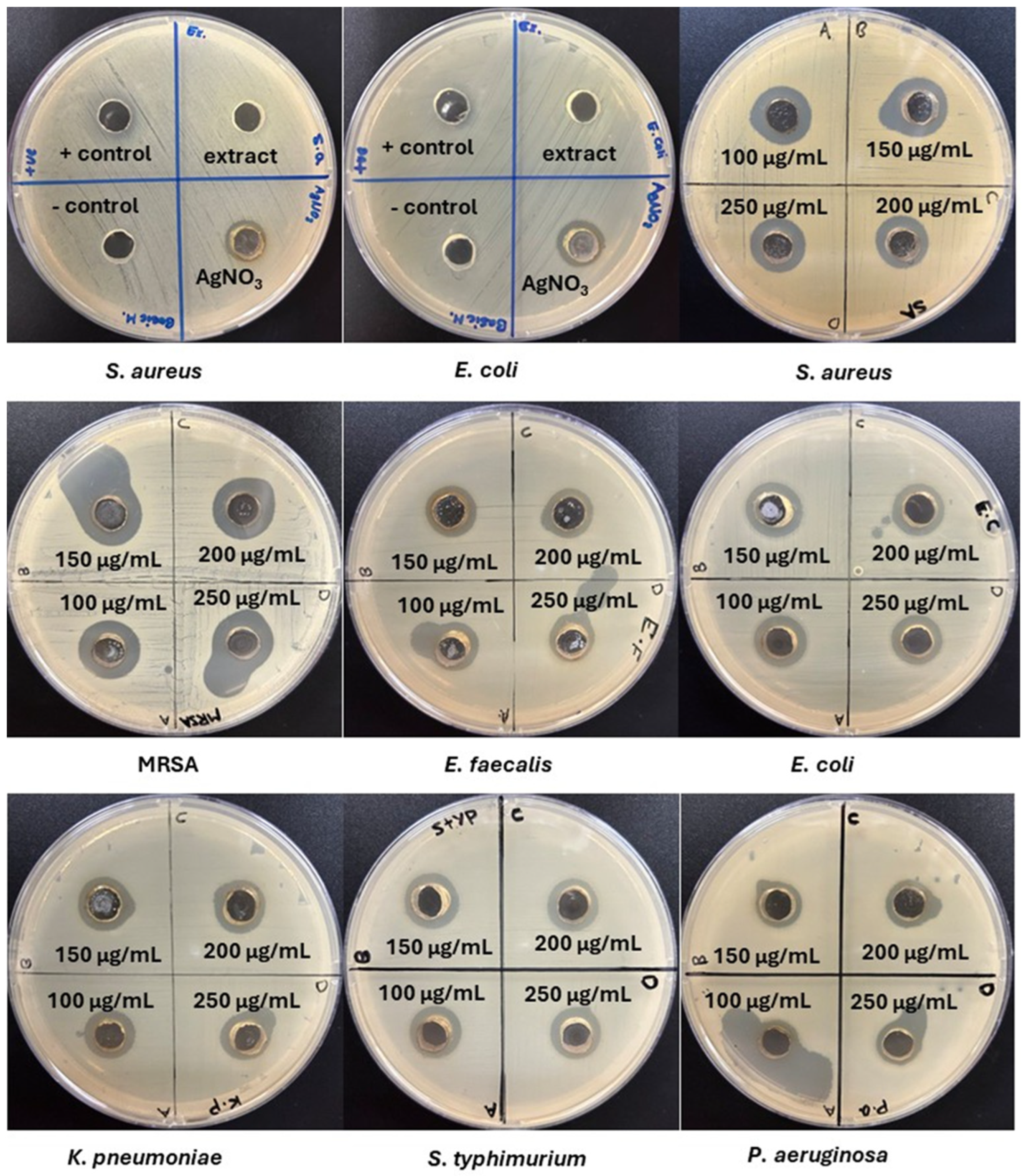 Nanomaterials 15 01821 g005