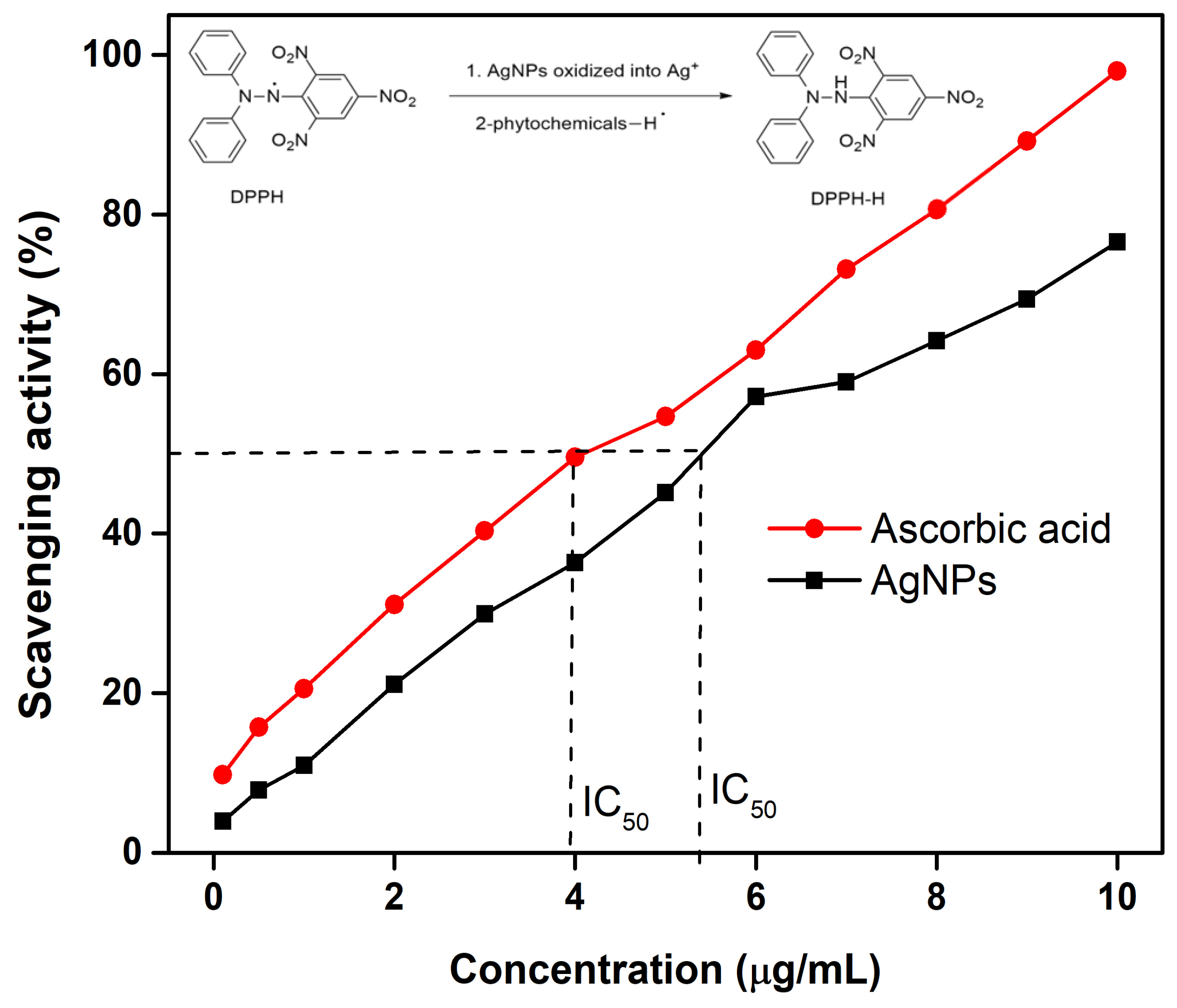 Nanomaterials 15 01821 g011