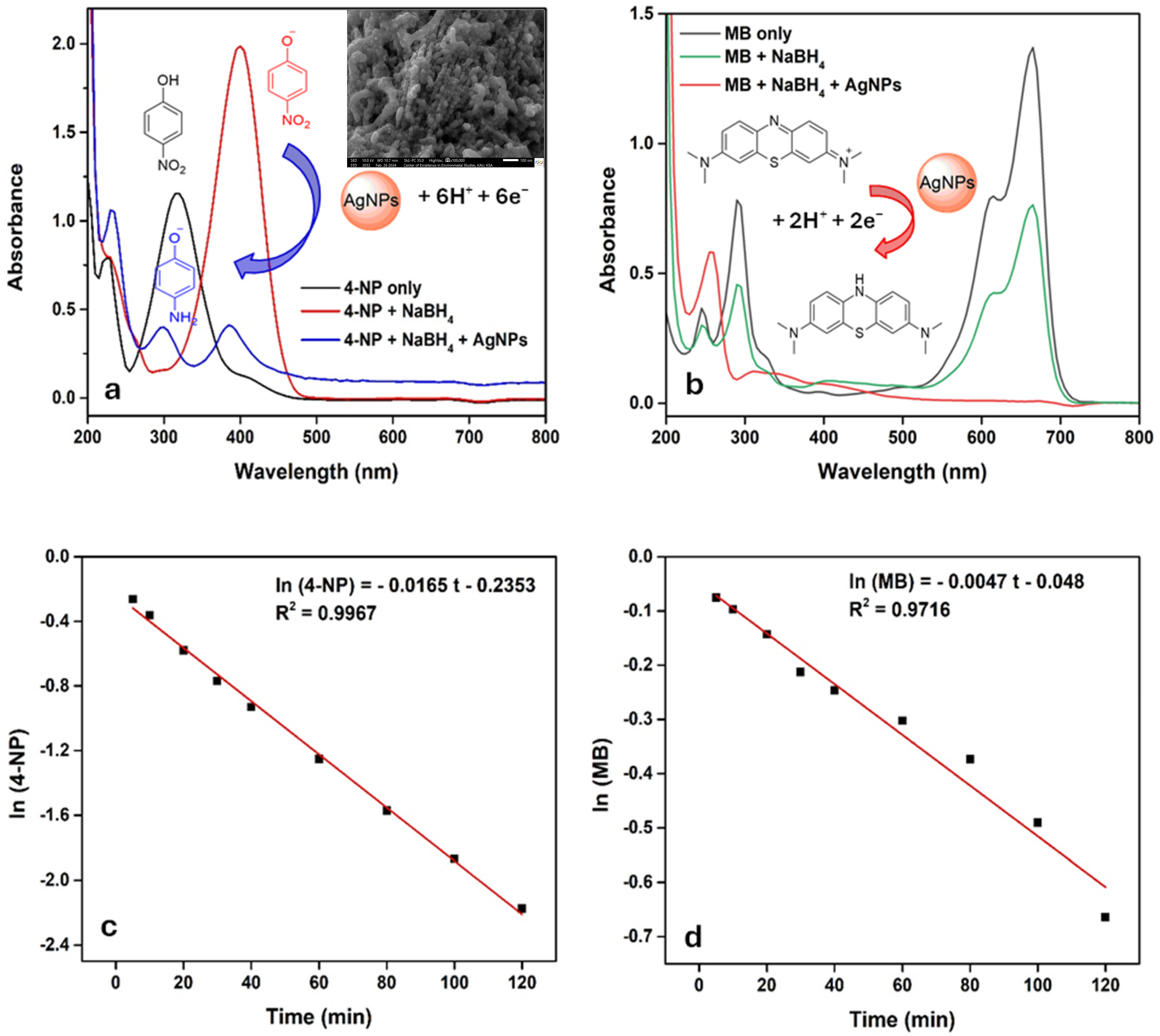 Nanomaterials 15 01821 g012