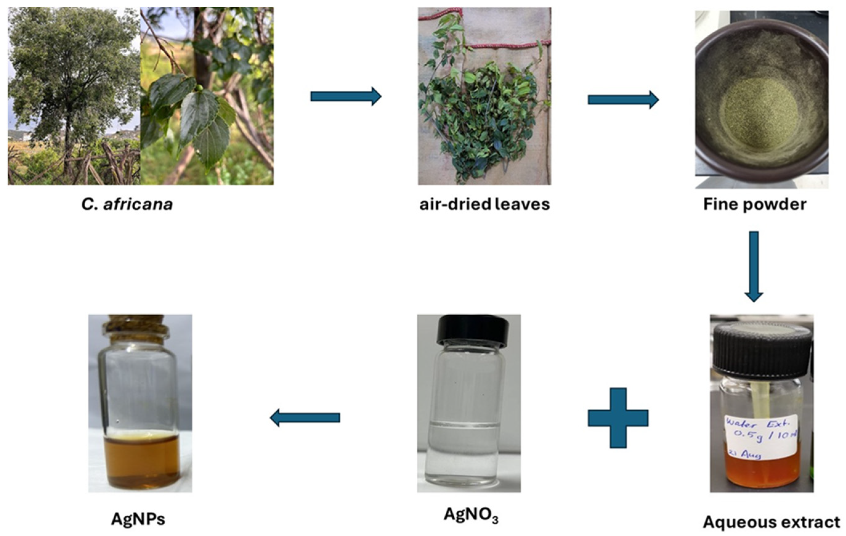 Nanomaterials 15 01821 sch001