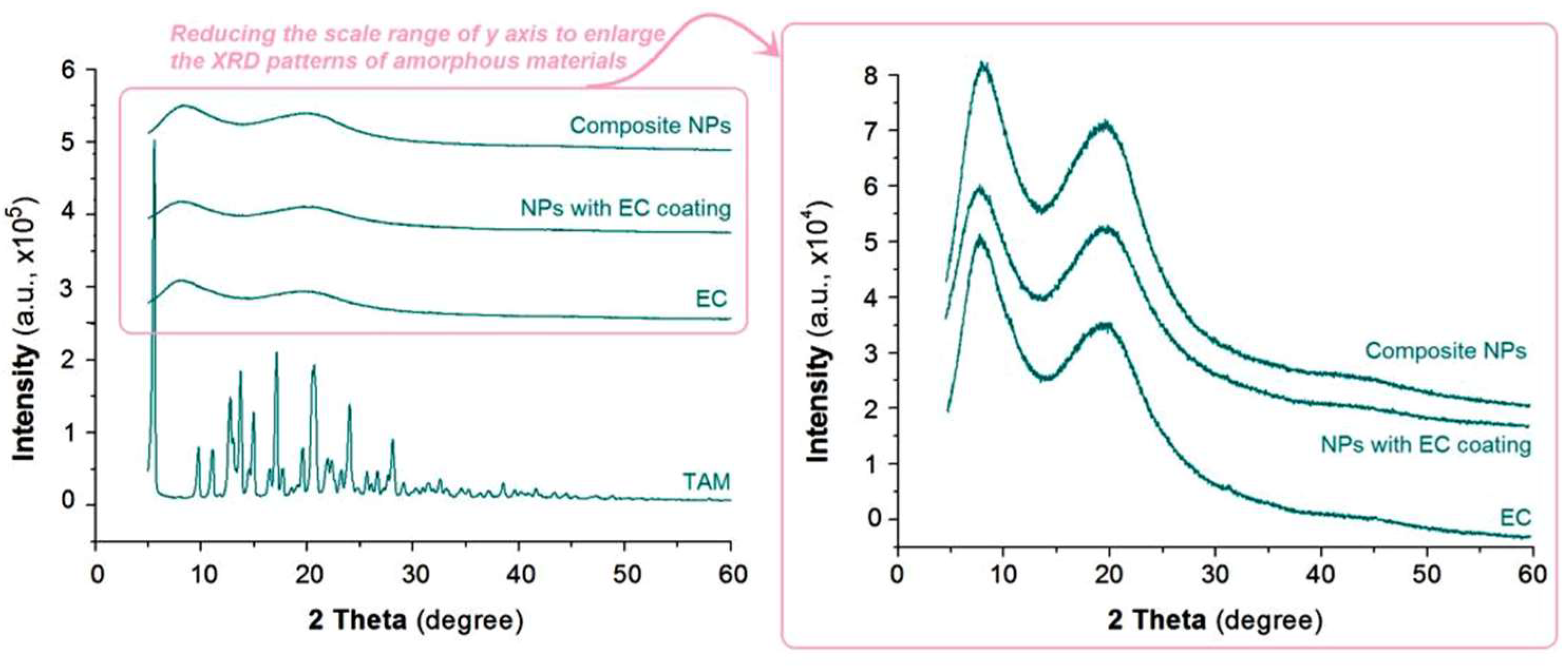 Nanomaterials 15 01825 g006