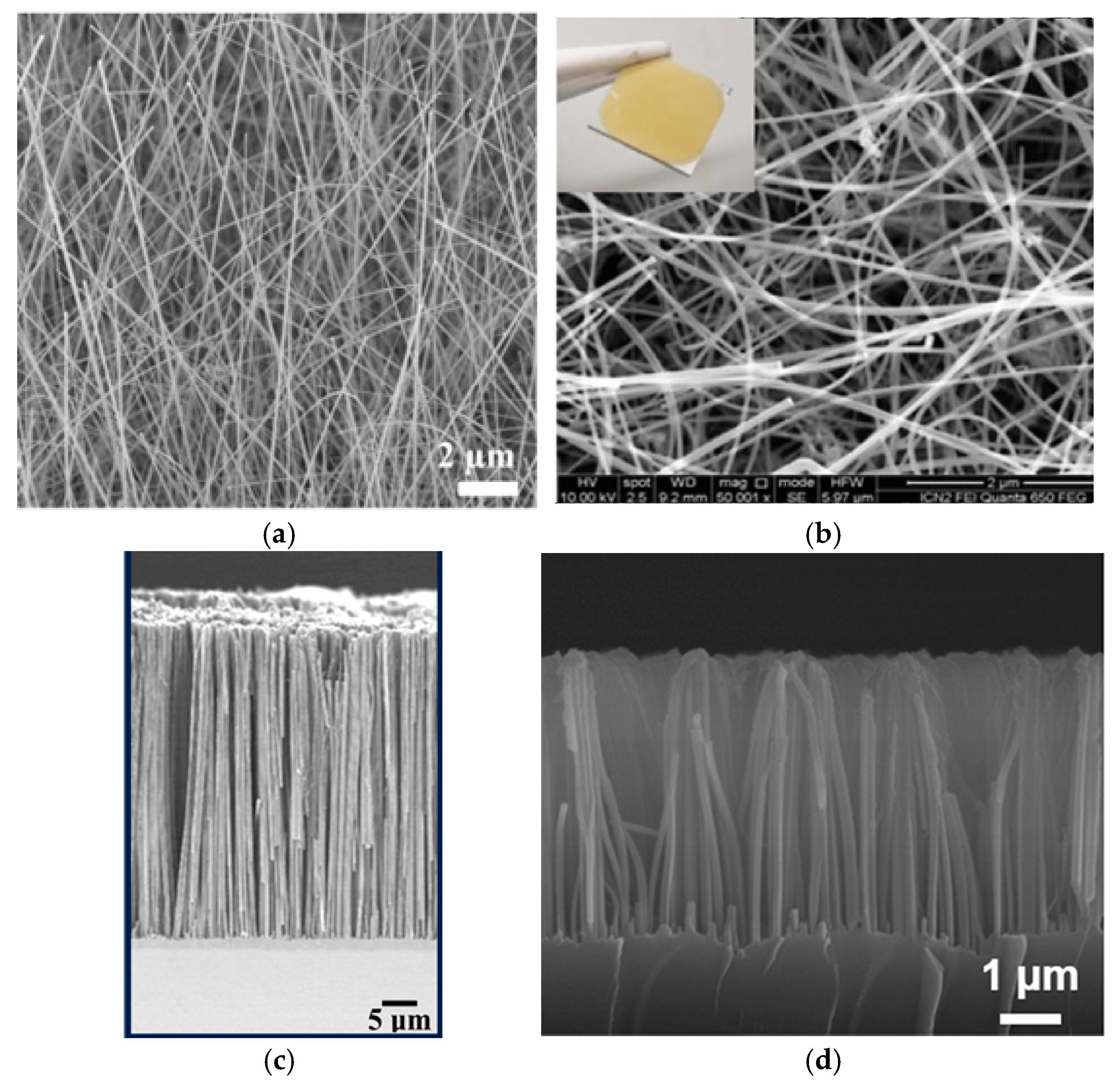 Nanomaterials 15 01826 g005 Nanomaterials 15 01826 g005