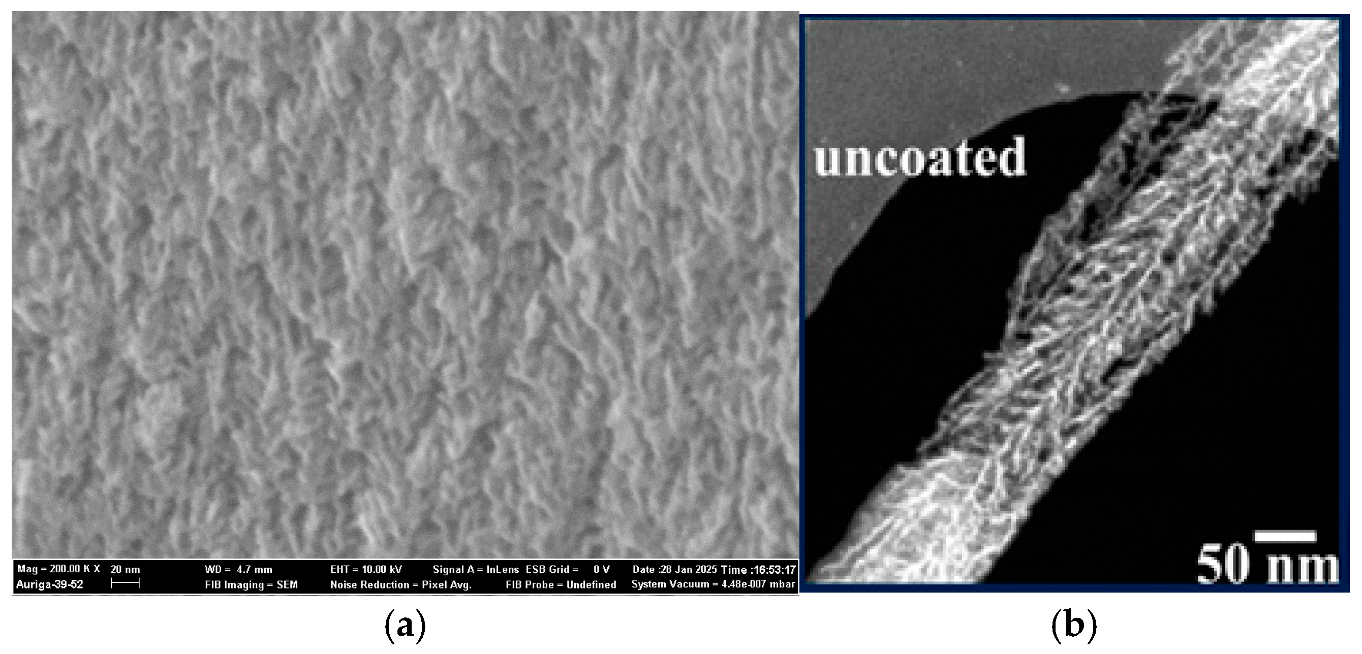 Nanomaterials 15 01826 g006 Nanomaterials 15 01826 g006