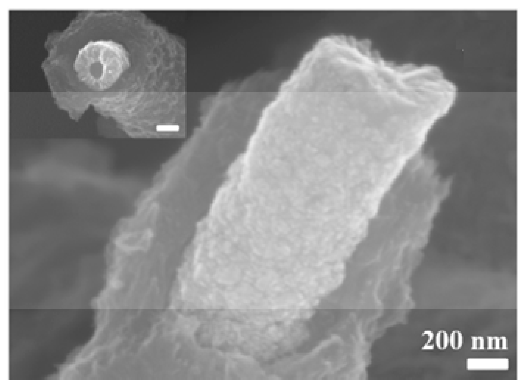 Nanomaterials 15 01826 g007 Nanomaterials 15 01826 g007