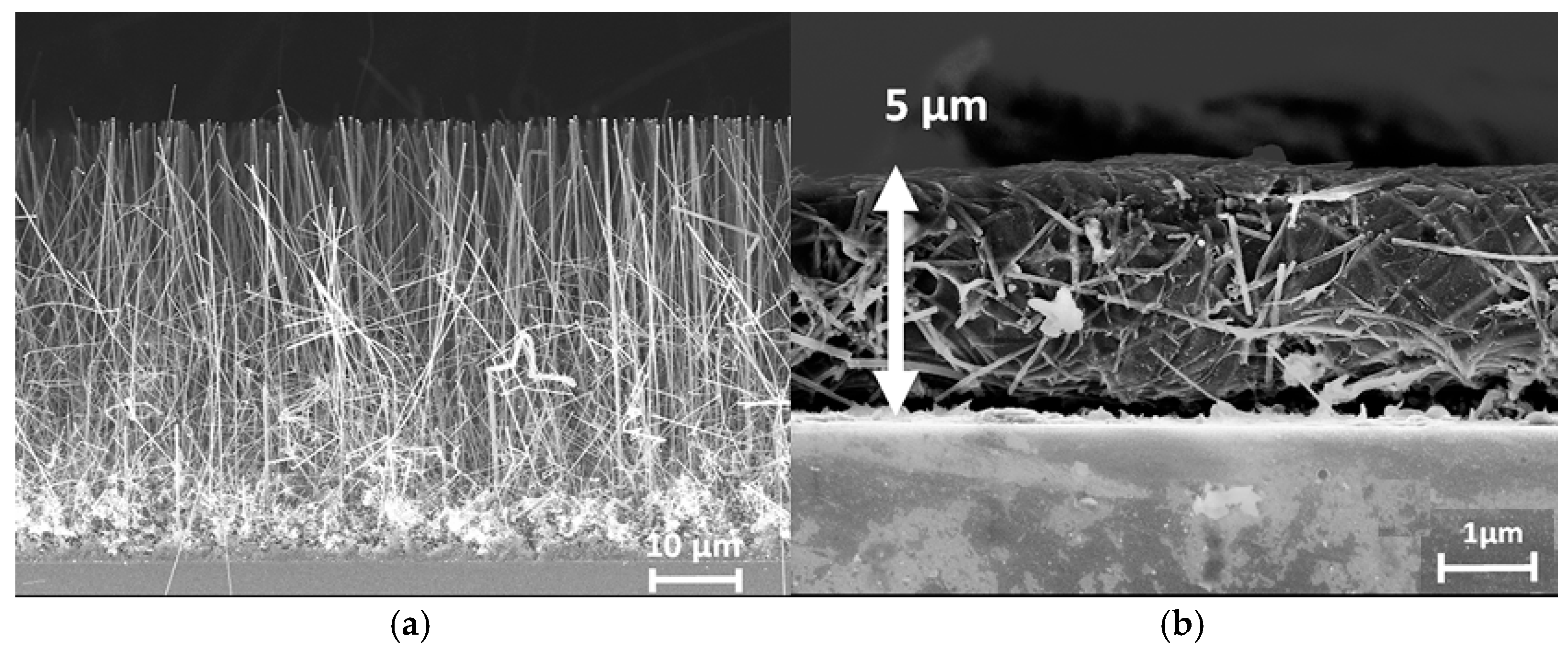 Nanomaterials 15 01826 g008 Nanomaterials 15 01826 g008