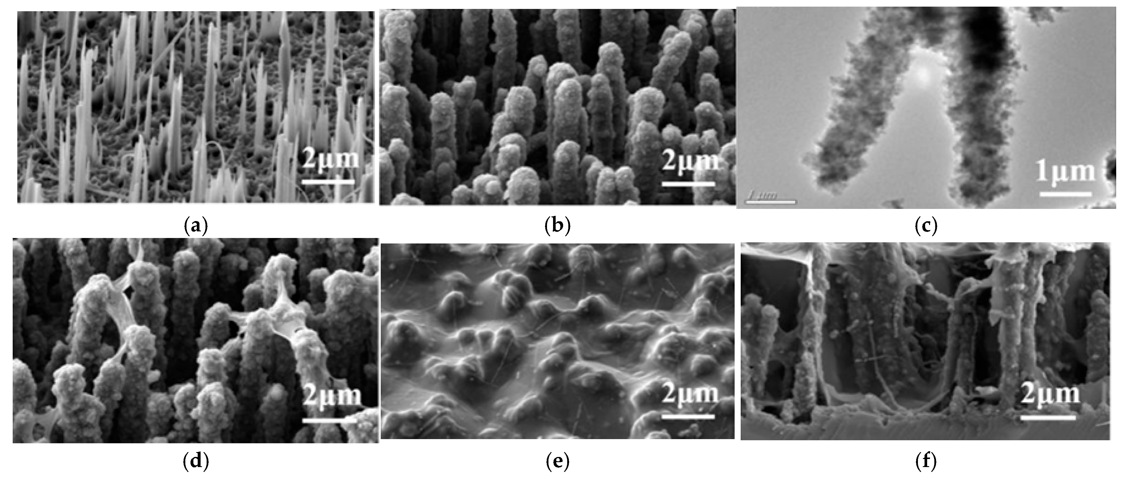 Nanomaterials 15 01826 g009 Nanomaterials 15 01826 g009