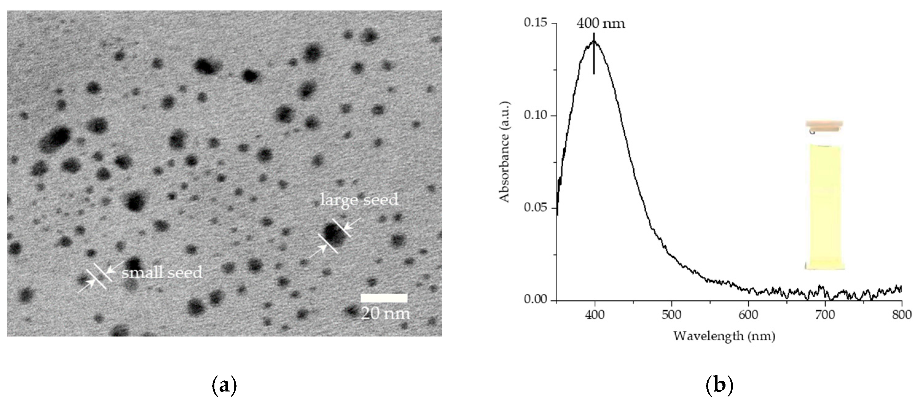 Nanomaterials 15 01827 g002