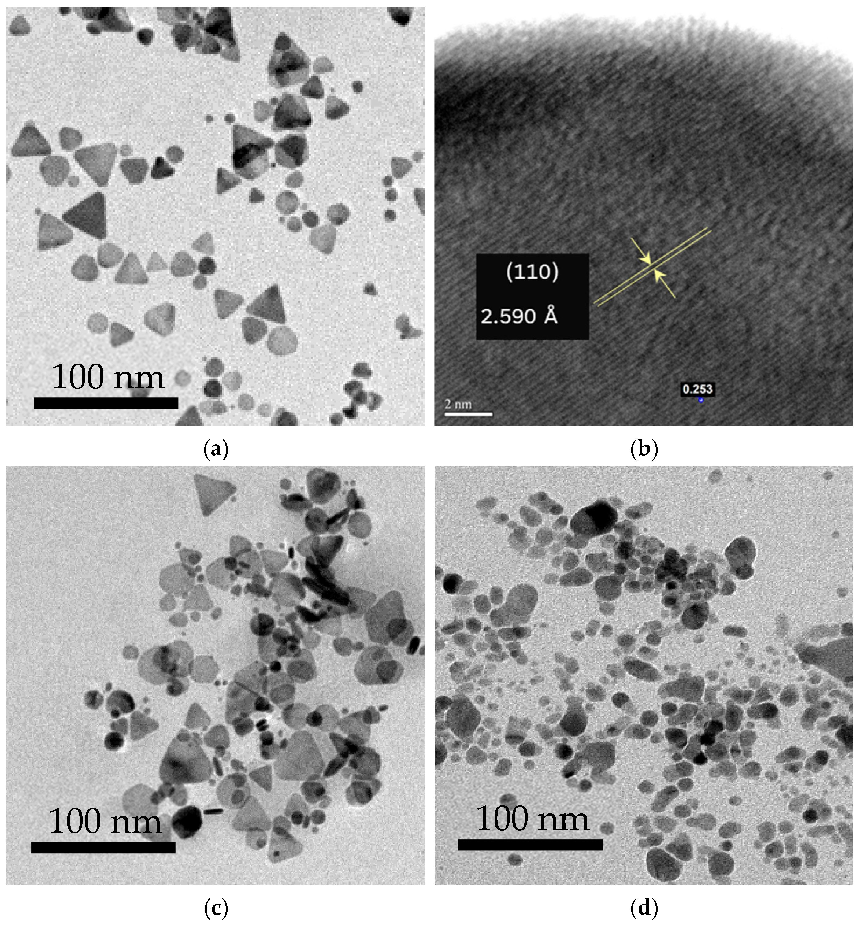 Nanomaterials 15 01827 g004