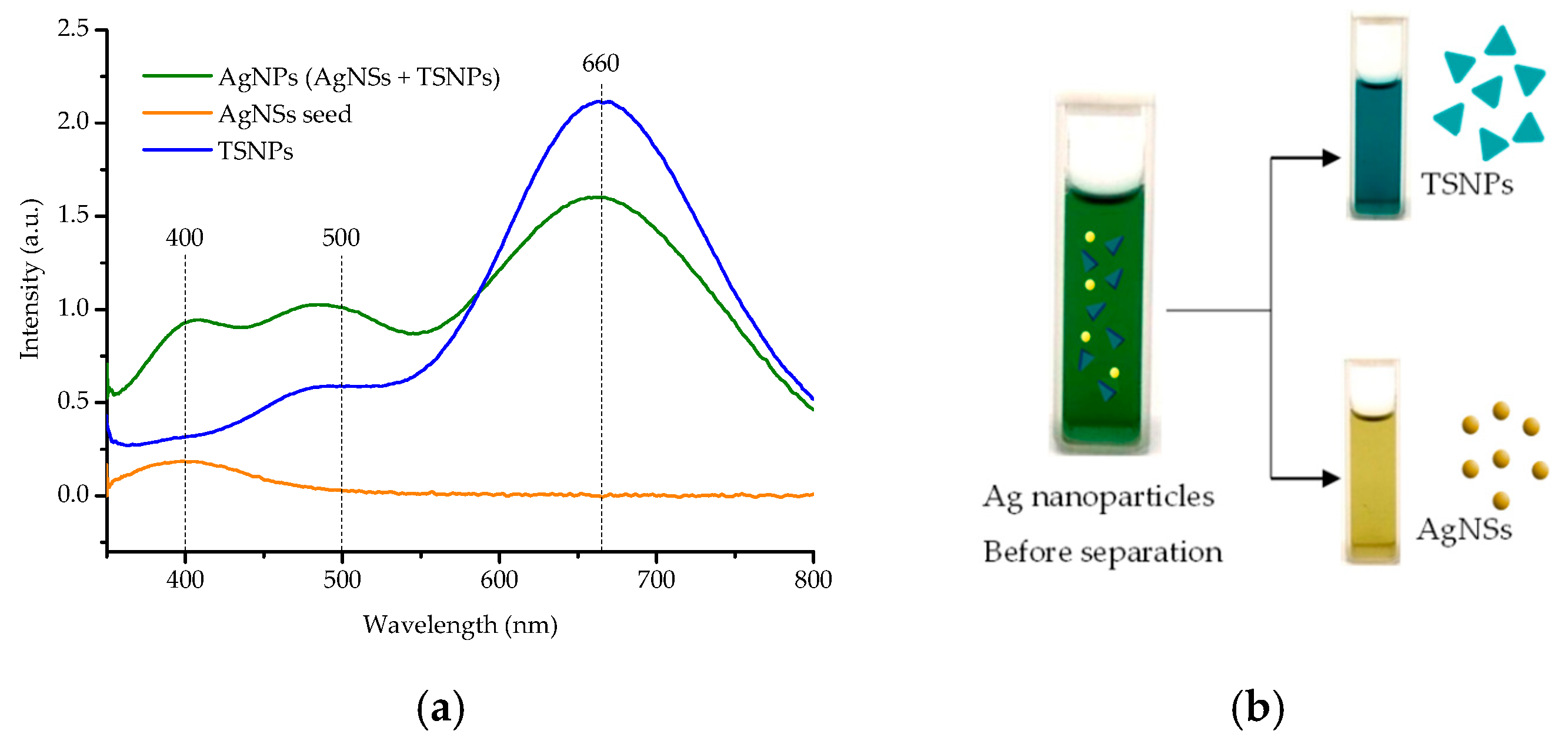 Nanomaterials 15 01827 g005