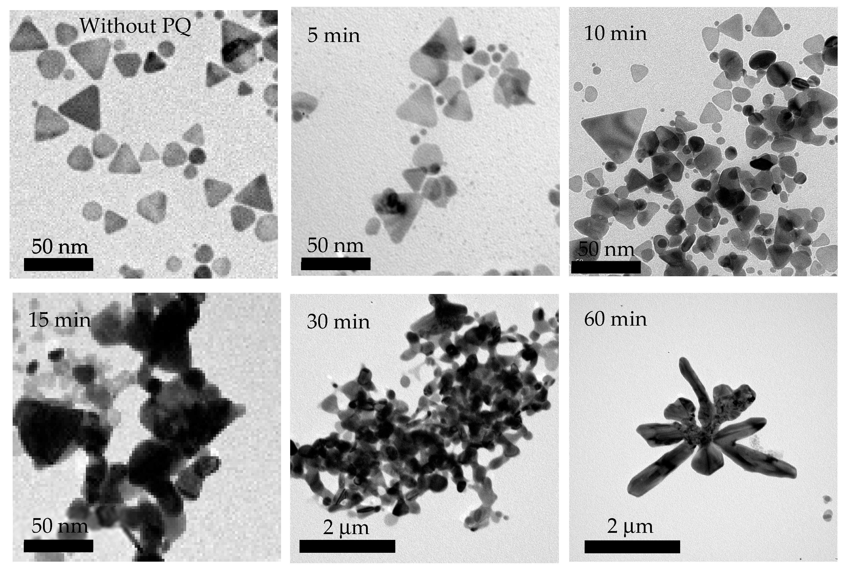 Nanomaterials 15 01827 g010