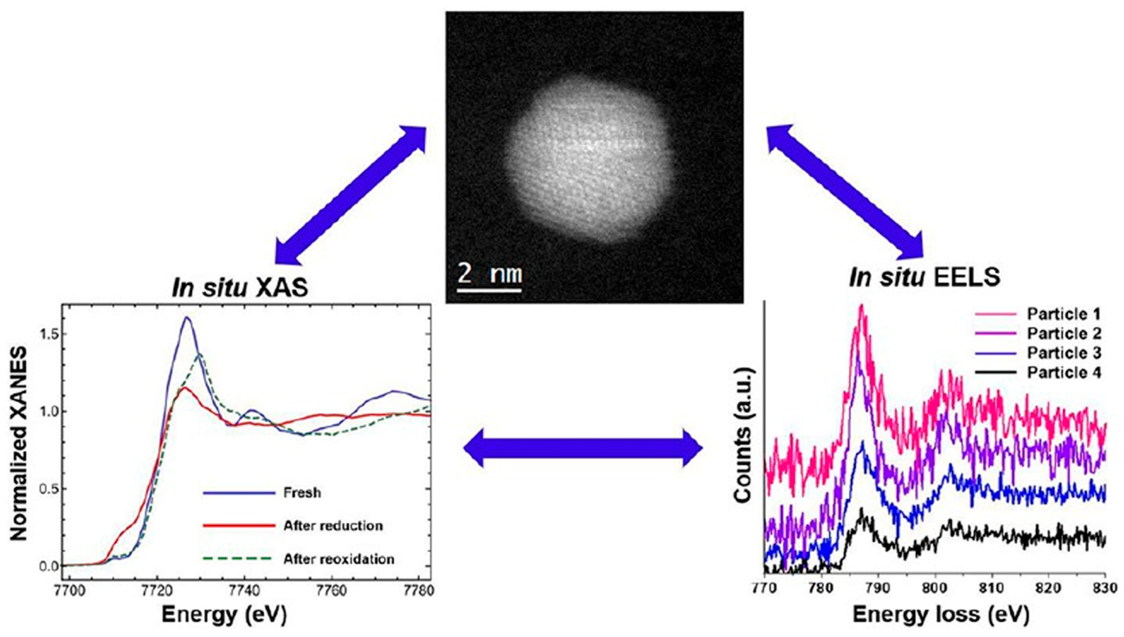 Nanomaterials 15 01828 g005