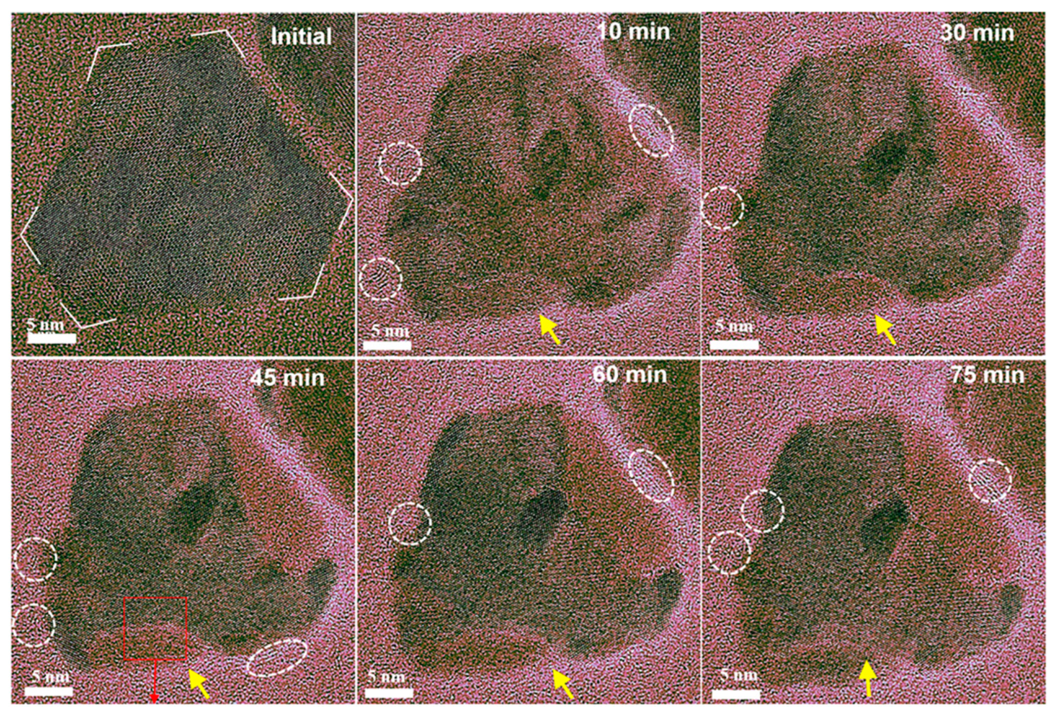 Nanomaterials 15 01828 g006
