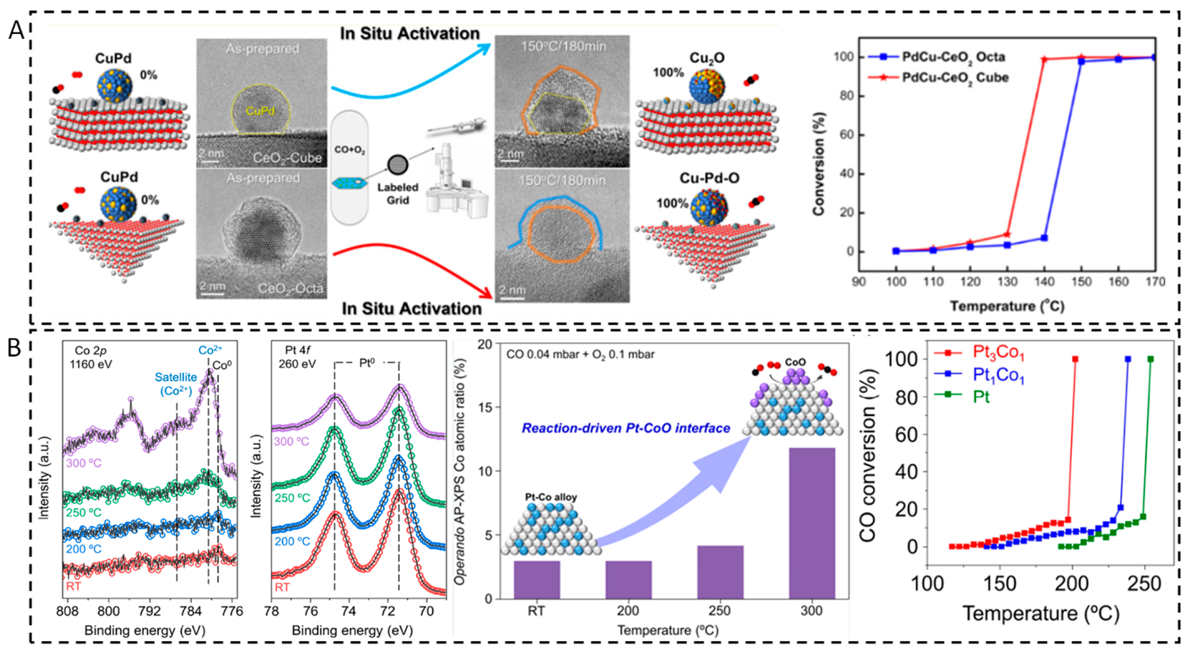 Nanomaterials 15 01828 g008