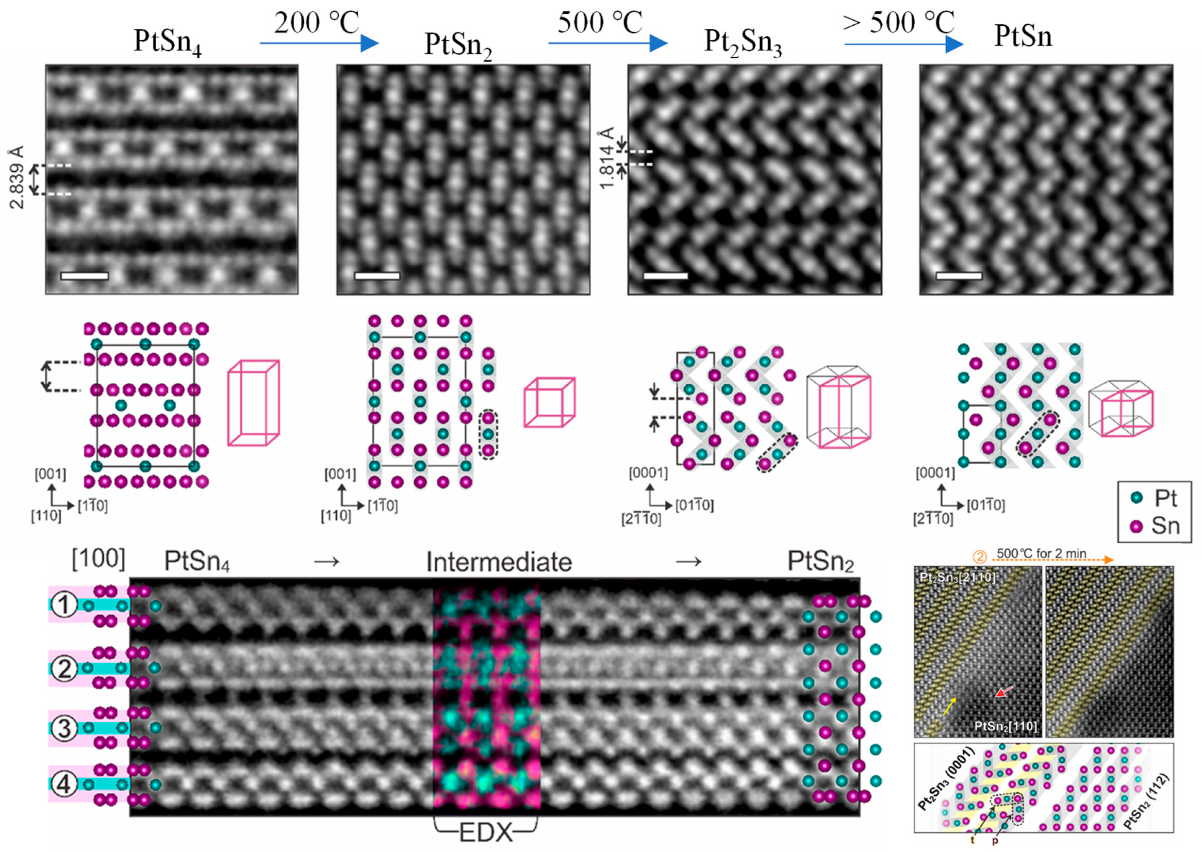Nanomaterials 15 01828 g012