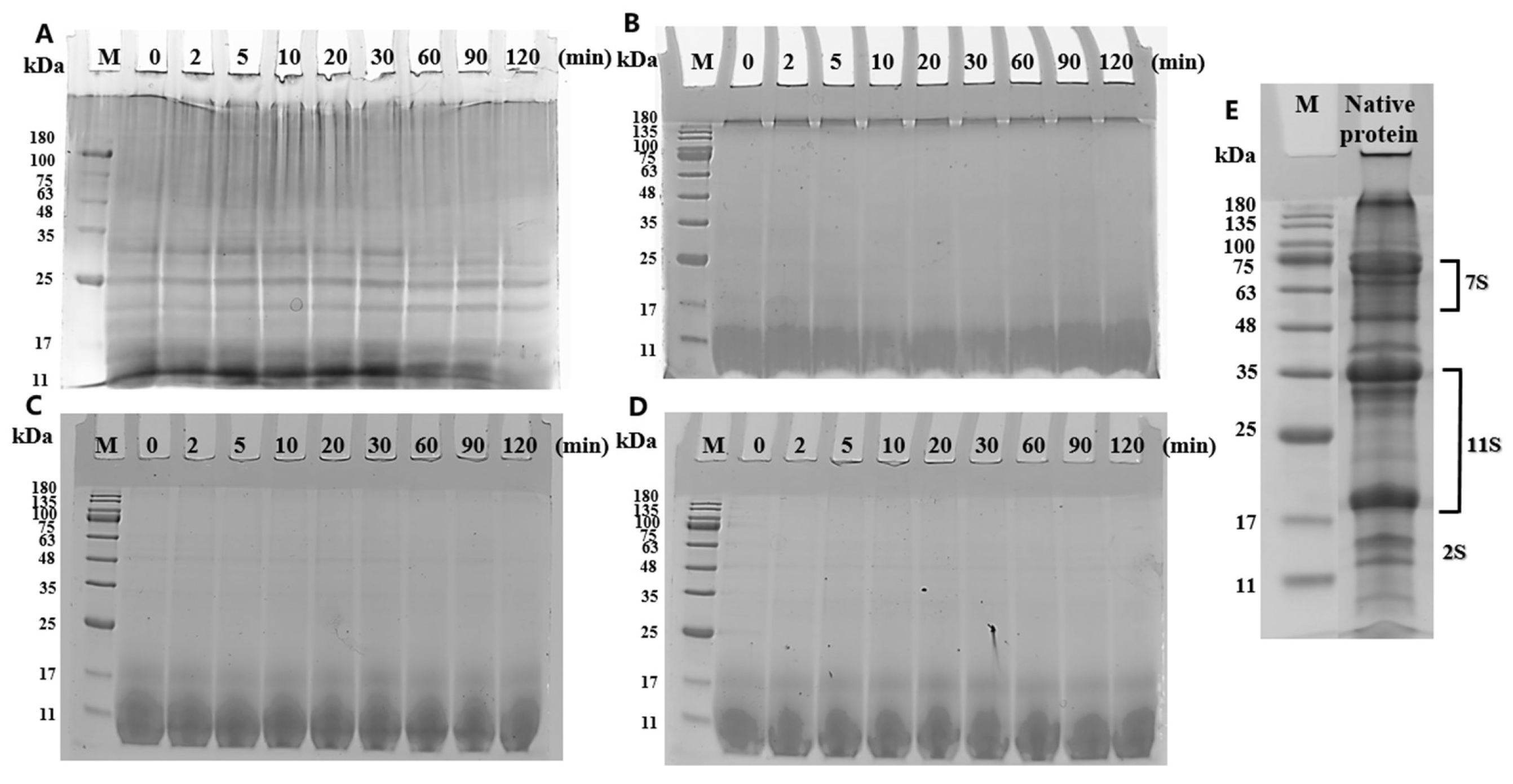Nanomaterials 15 01829 g002 Nanomaterials 15 01829 g002