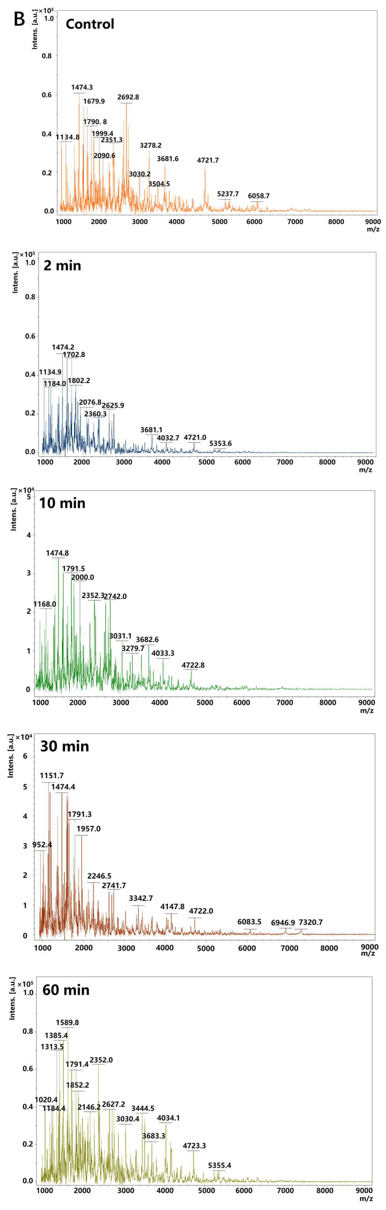 Nanomaterials 15 01829 g003b Nanomaterials 15 01829 g003b