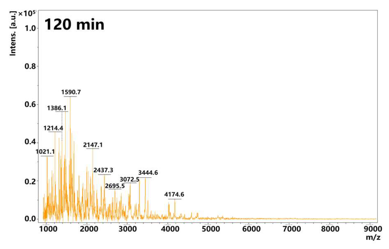 Nanomaterials 15 01829 g003c Nanomaterials 15 01829 g003c