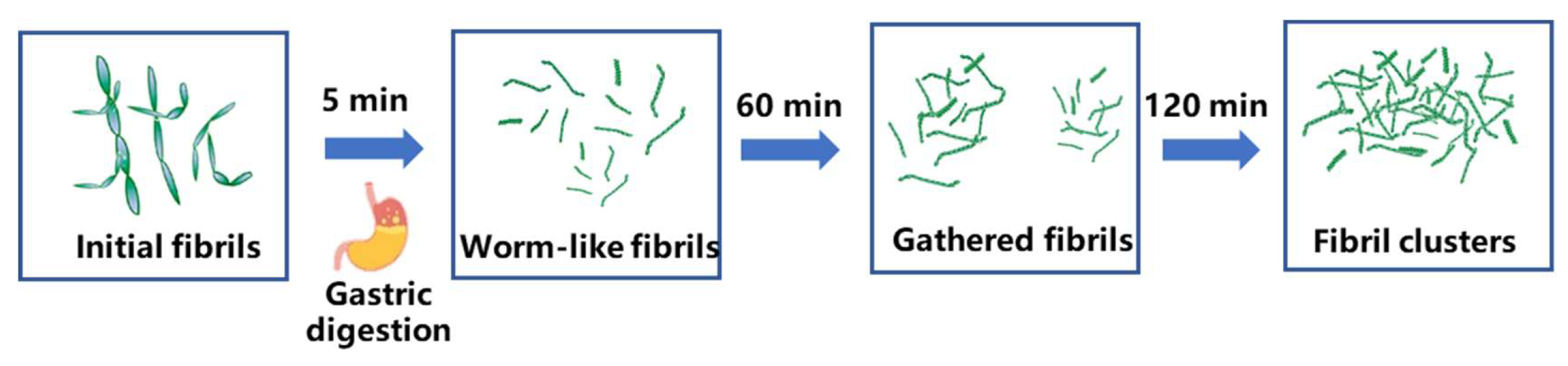 Nanomaterials 15 01829 g004b Nanomaterials 15 01829 g004b