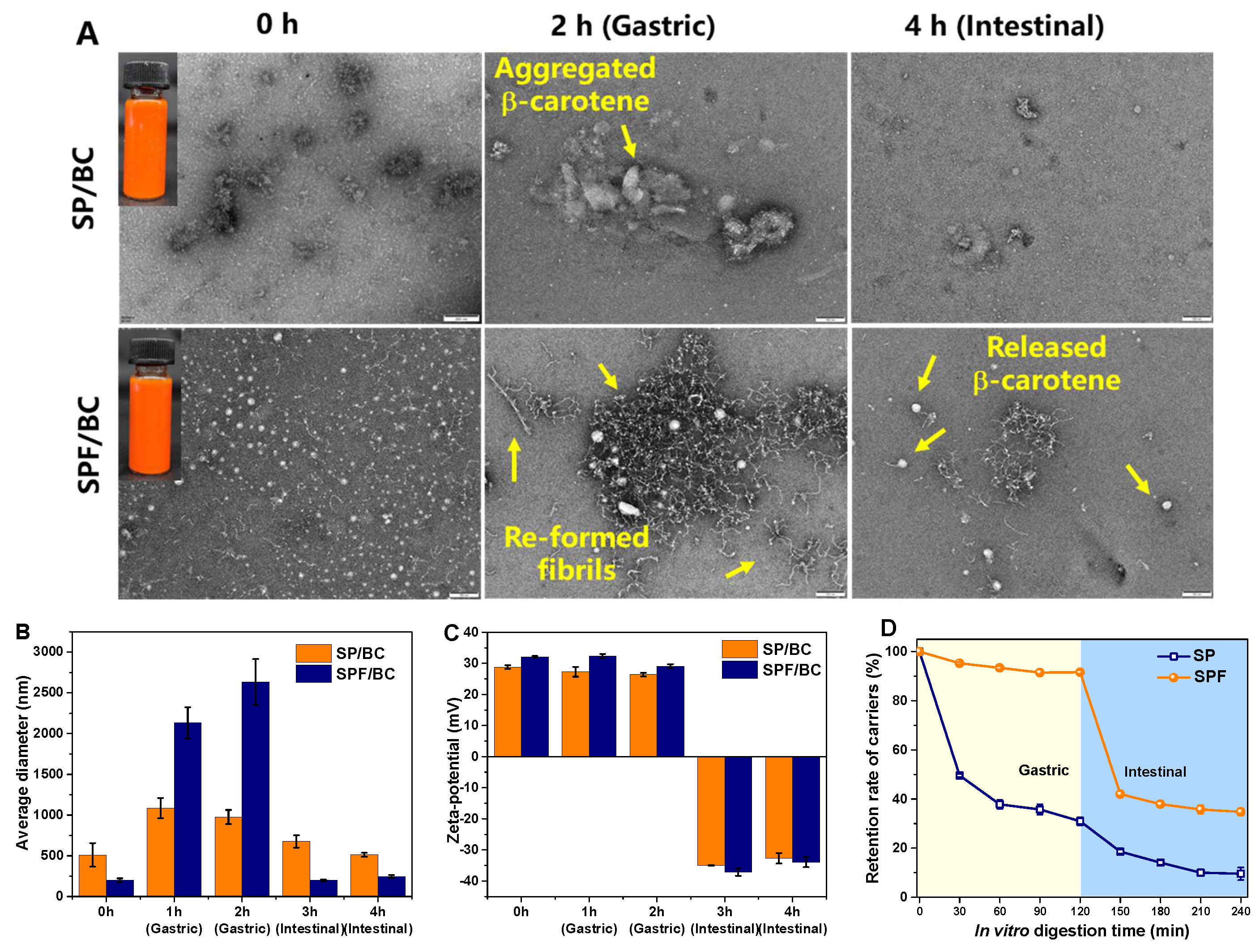 Nanomaterials 15 01829 g005a Nanomaterials 15 01829 g005a