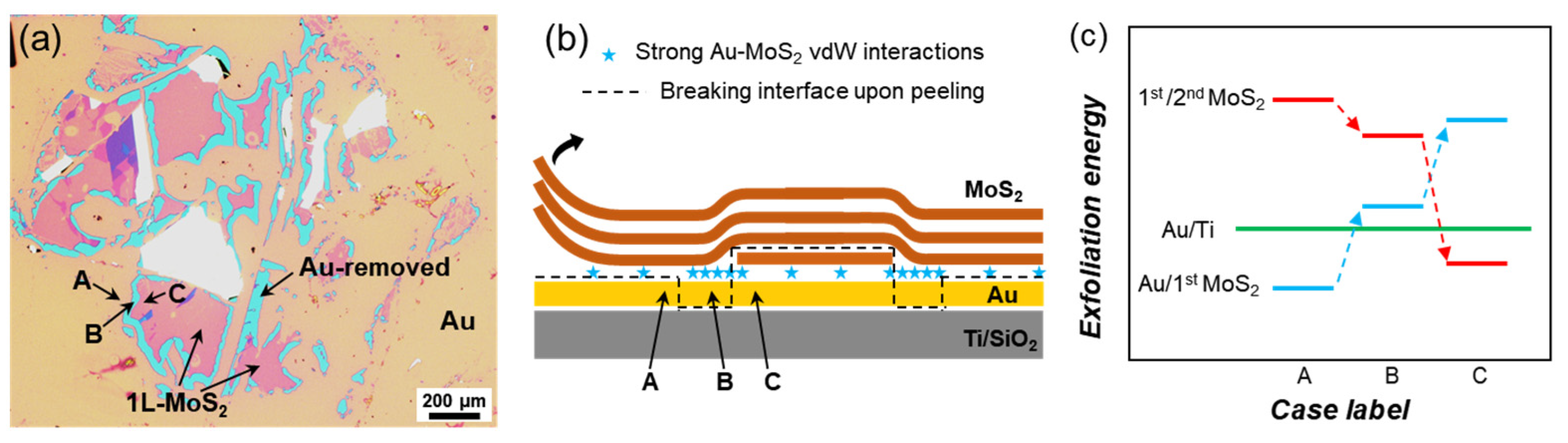 Nanomaterials 15 01835 g004