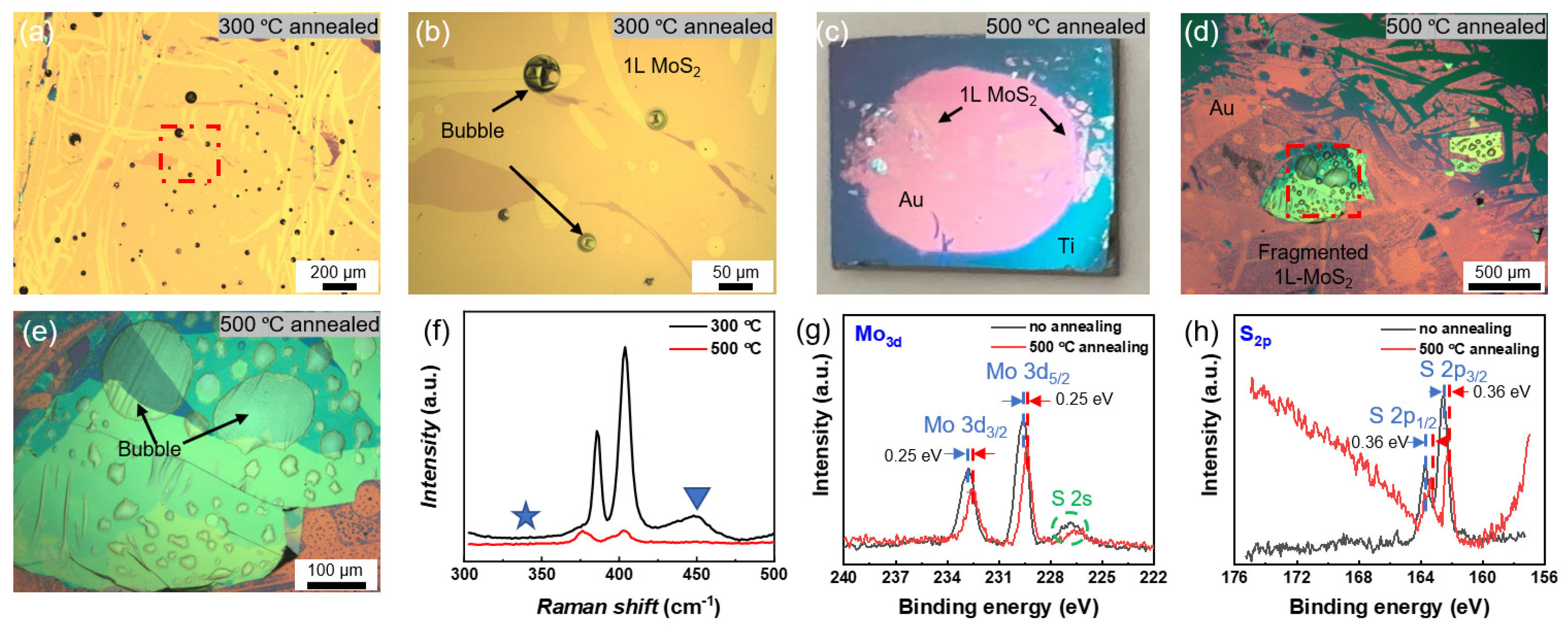 Nanomaterials 15 01835 g006