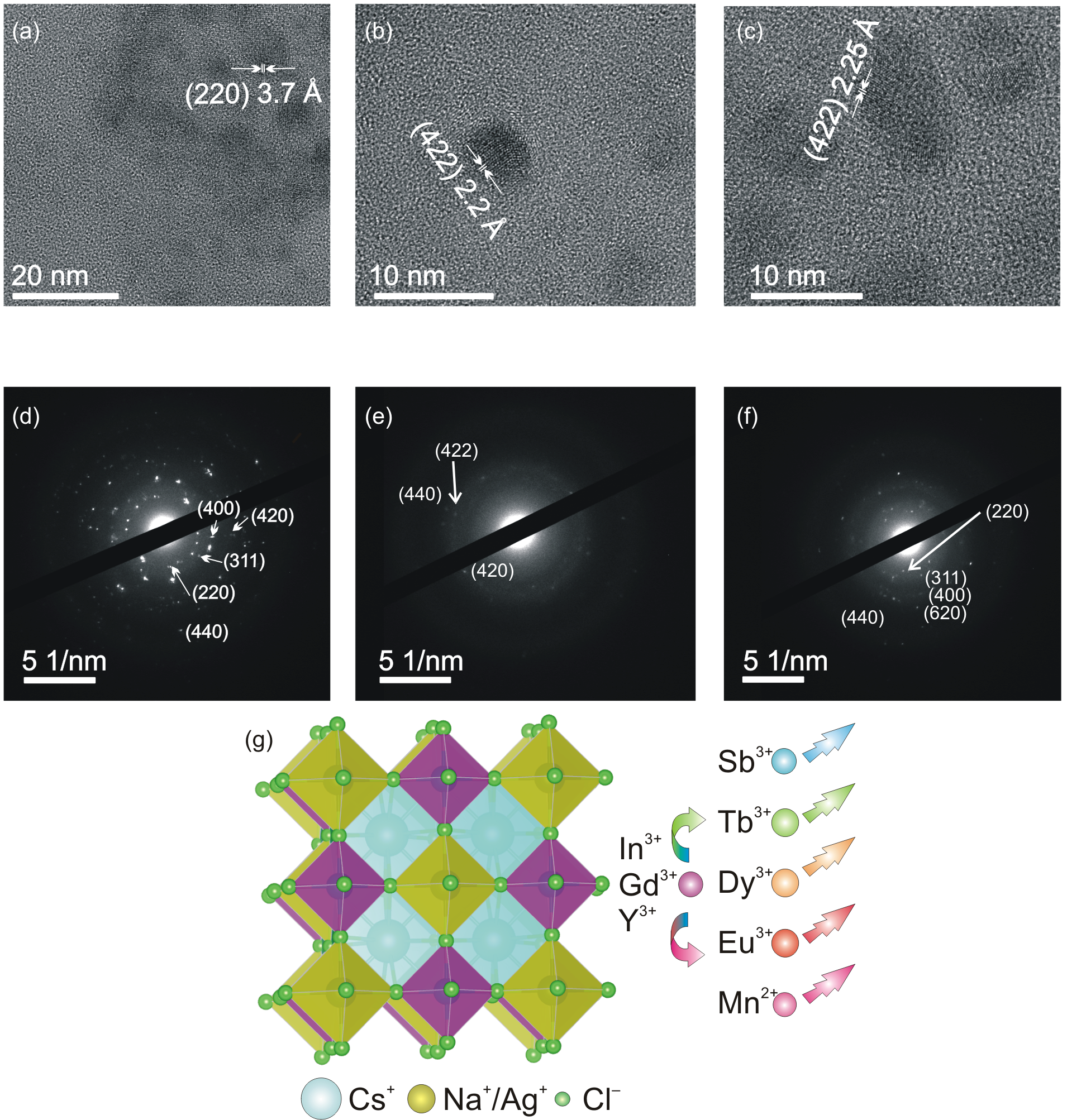 Nanomaterials 15 01838 g001