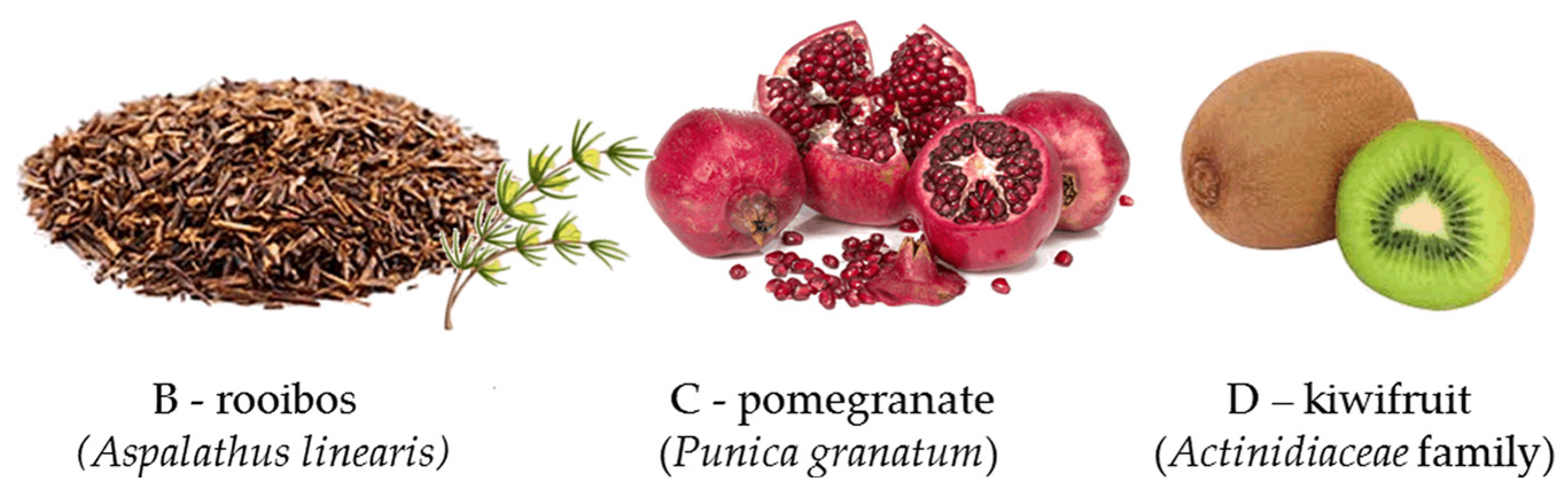Nanomaterials 15 01839 g001