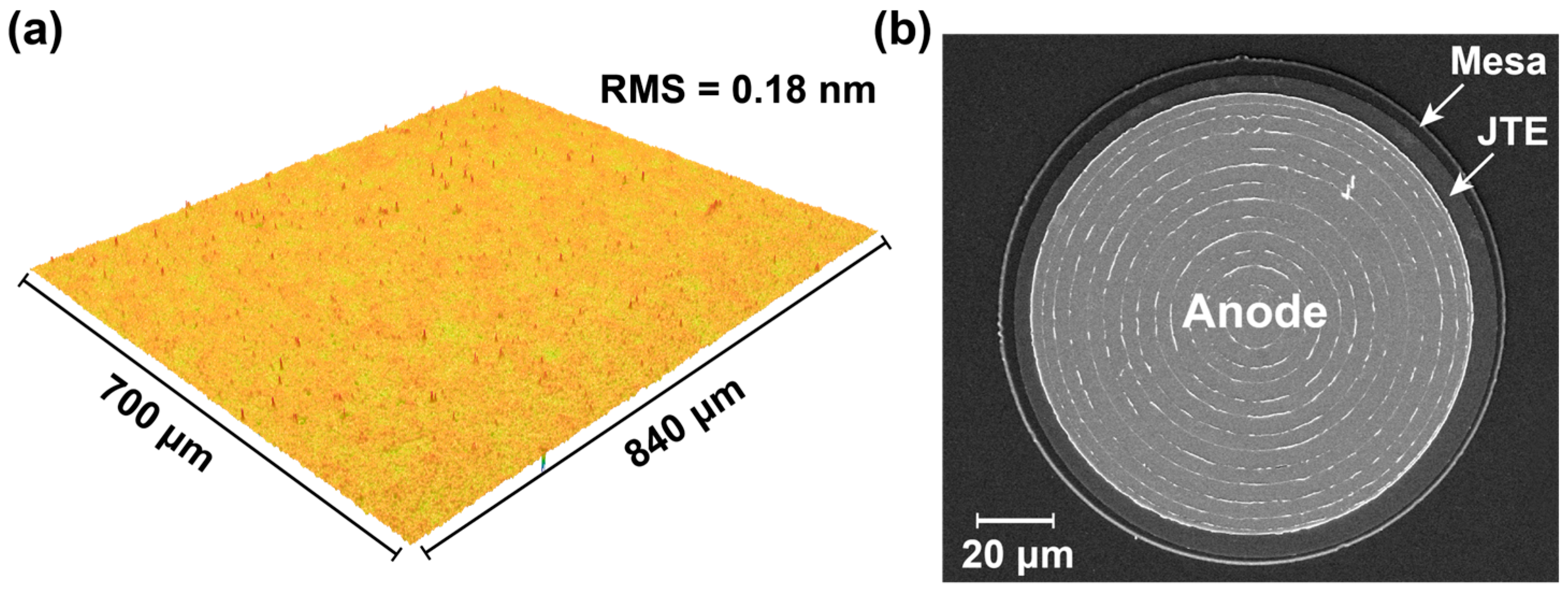 Nanomaterials 15 01840 g002