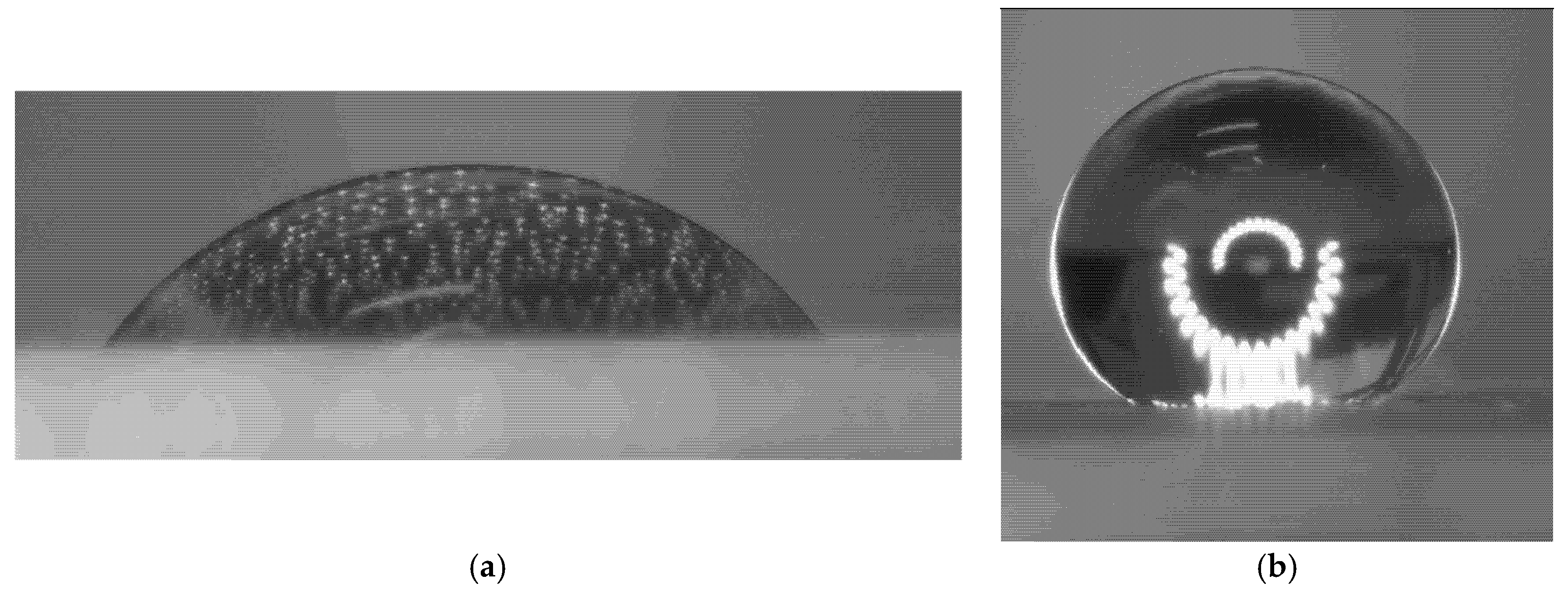 Nanomaterials 15 01841 g012
