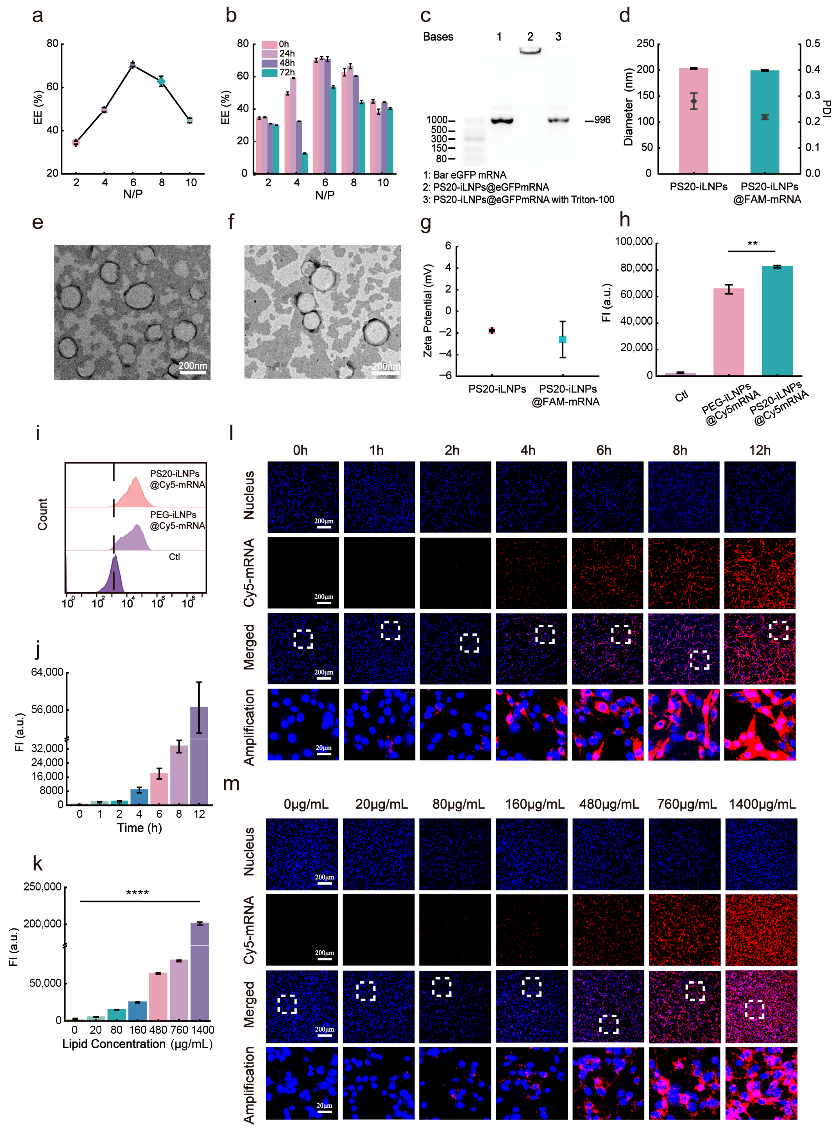 Nanomaterials 15 01844 g003 Nanomaterials 15 01844 g003