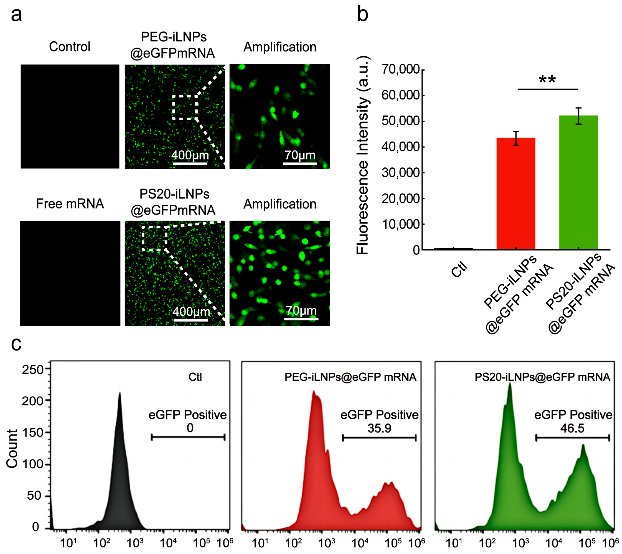 Nanomaterials 15 01844 g004 Nanomaterials 15 01844 g004