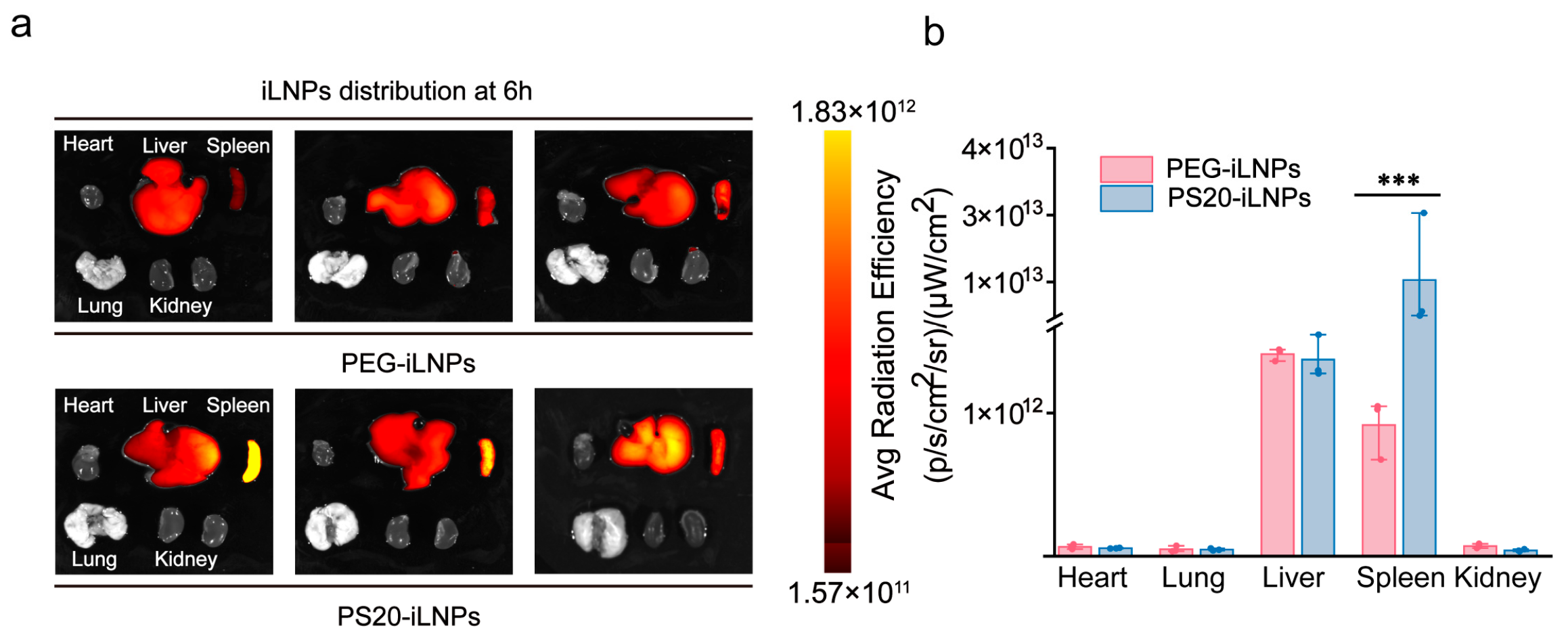 Nanomaterials 15 01844 g005 Nanomaterials 15 01844 g005