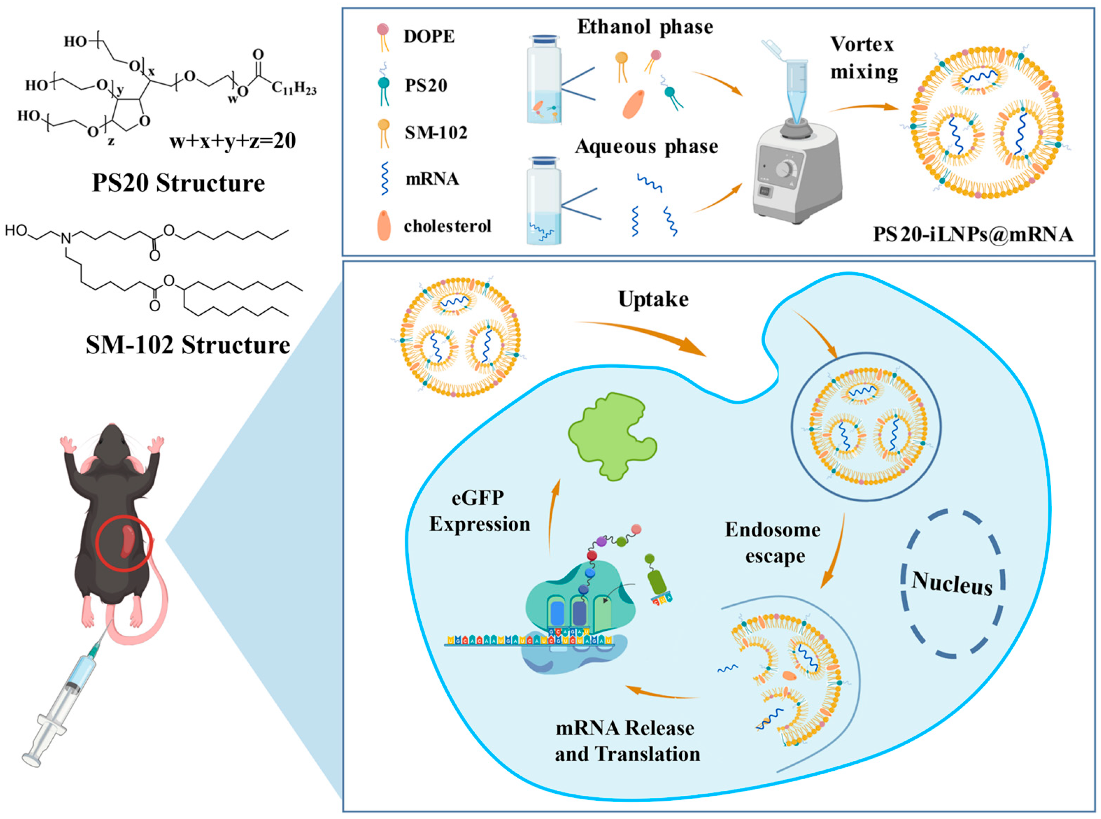 Nanomaterials 15 01844 sch001 Nanomaterials 15 01844 sch001
